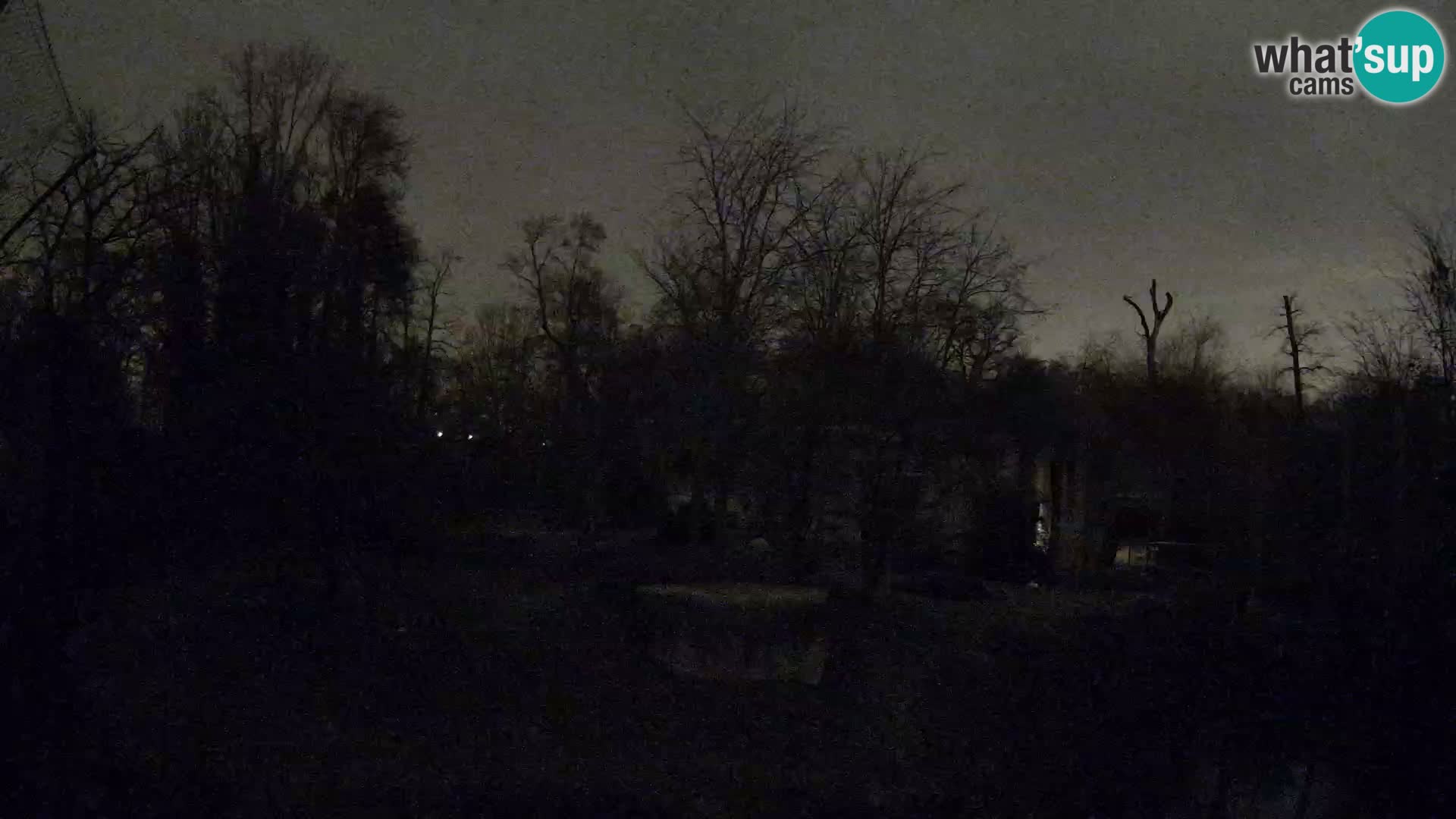 Zoo Zagreb – Leoni