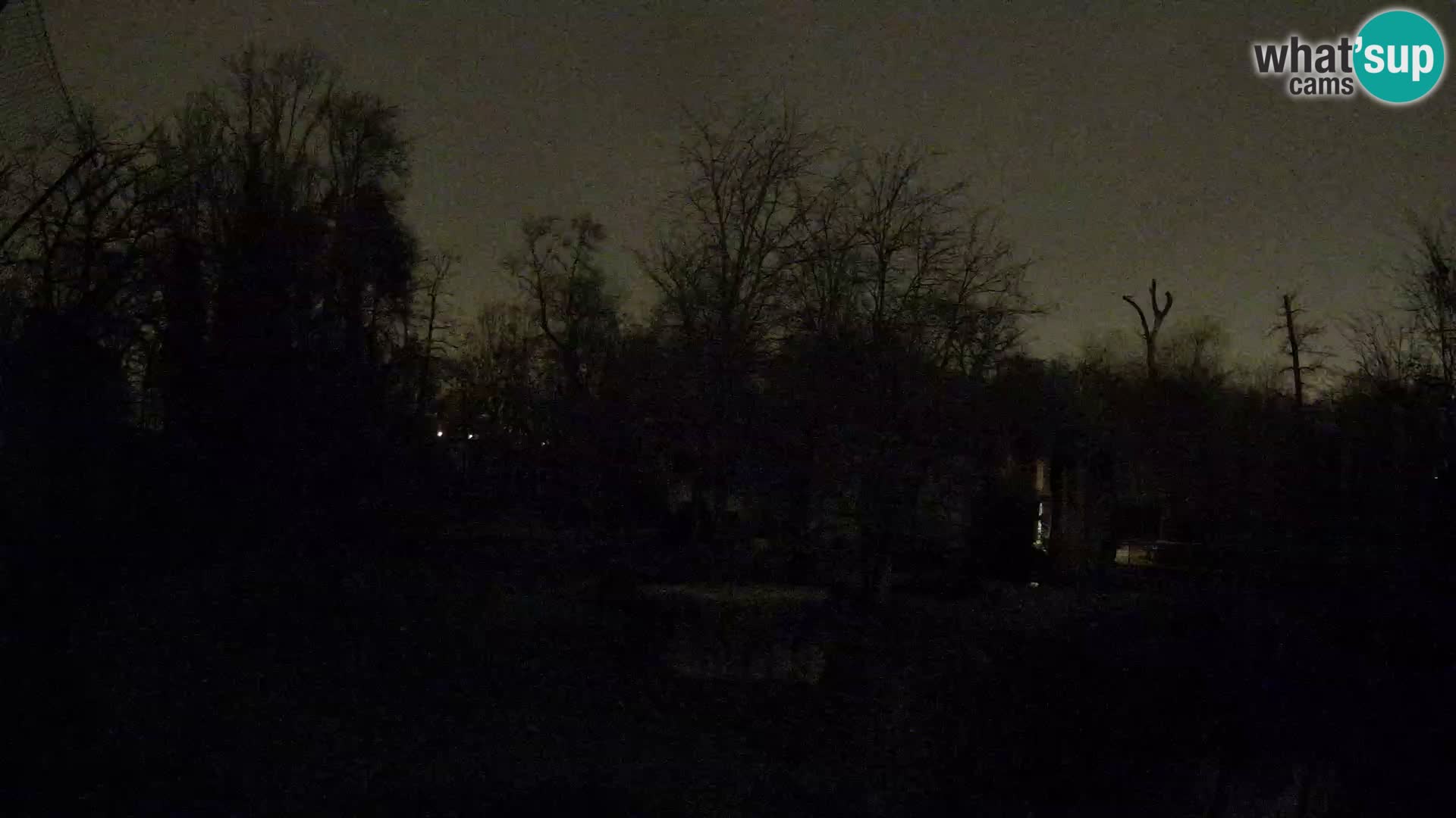 Zoo Zagreb – Lavovi