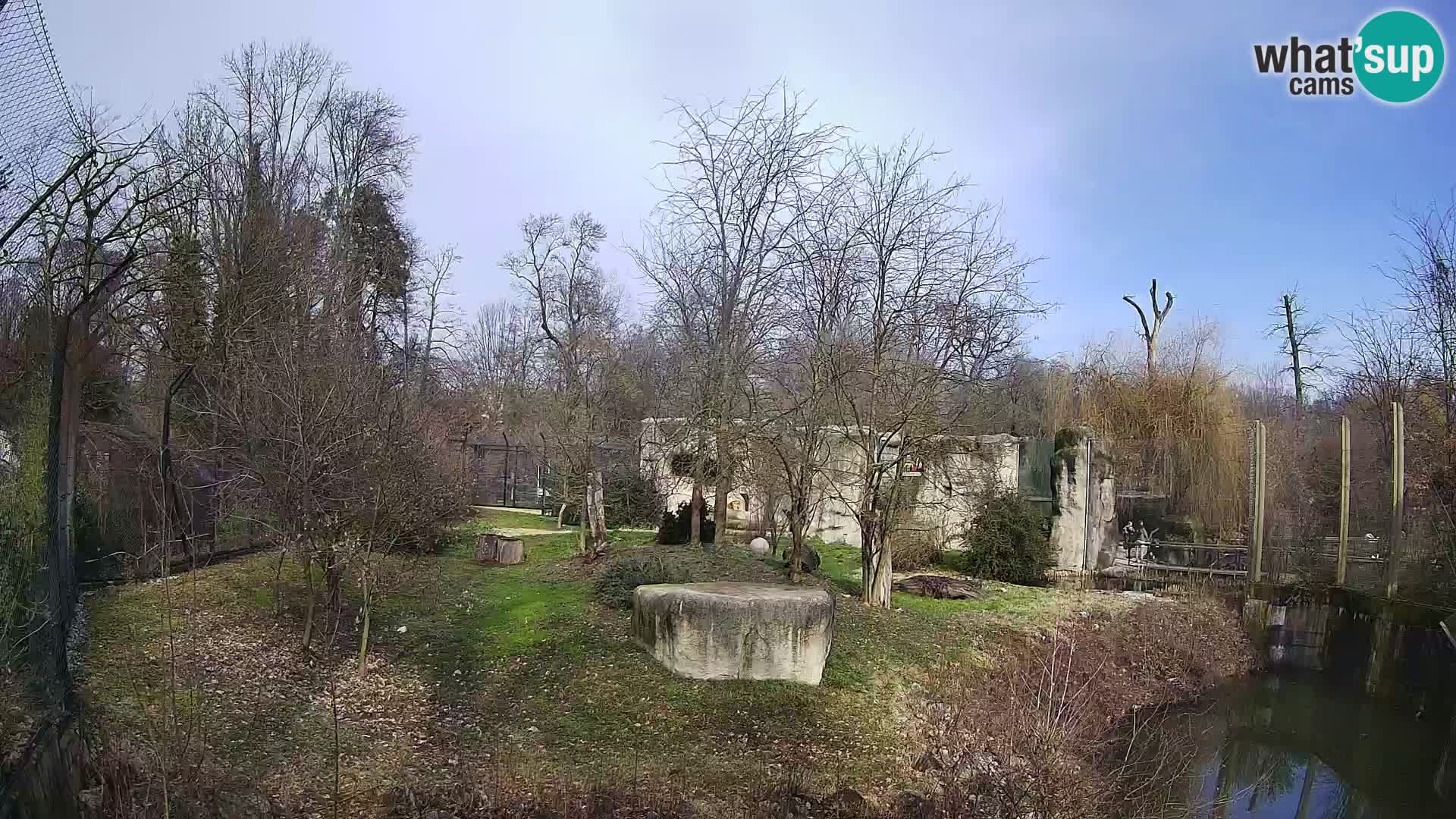 Zoo Zagreb – Leones