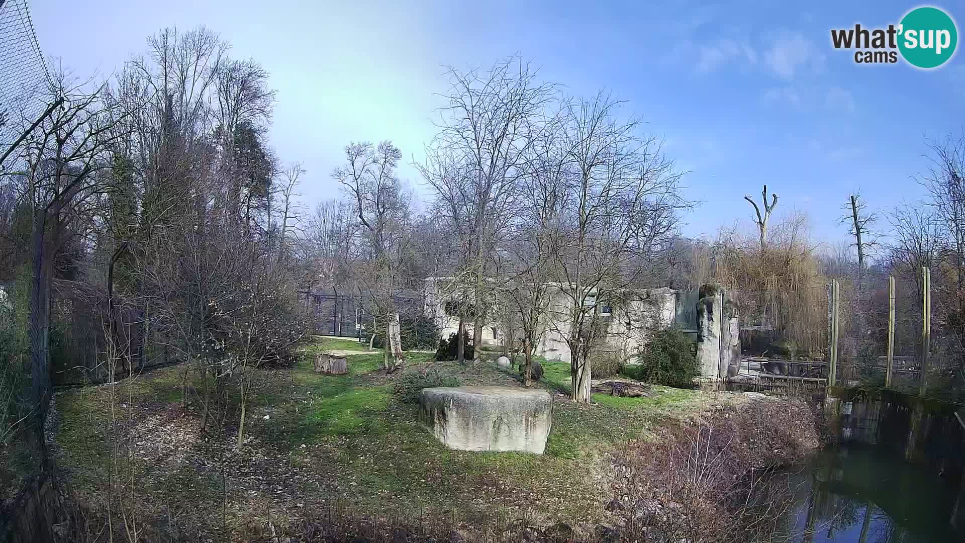 Spletna kamera Zoo Zagreb – Levi