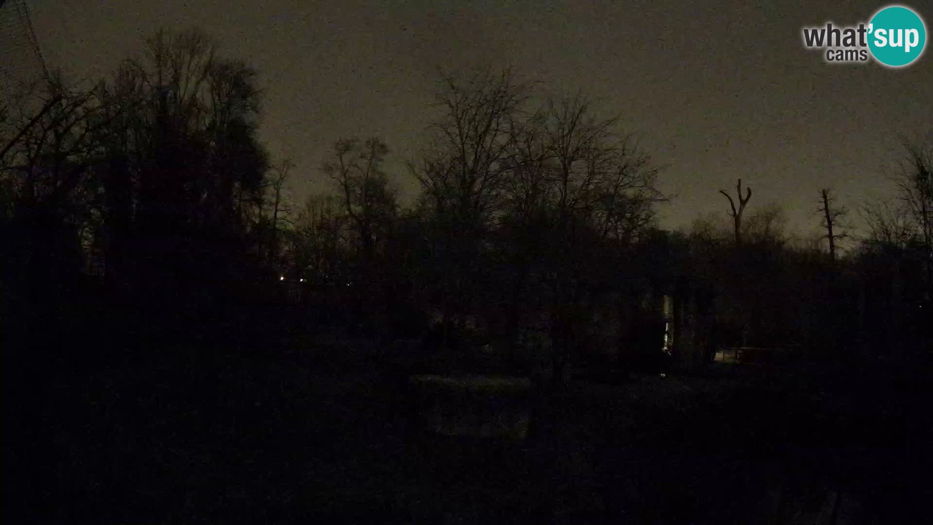 Zoo Zagreb – Leones