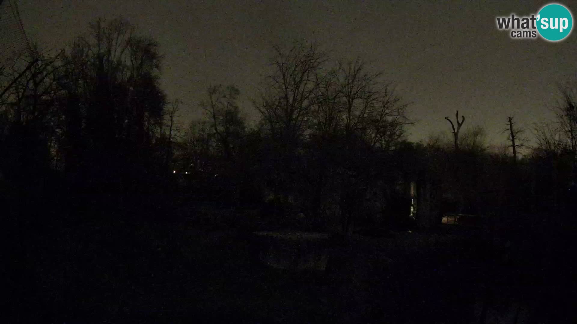 Zoo Zagreb – Löwen