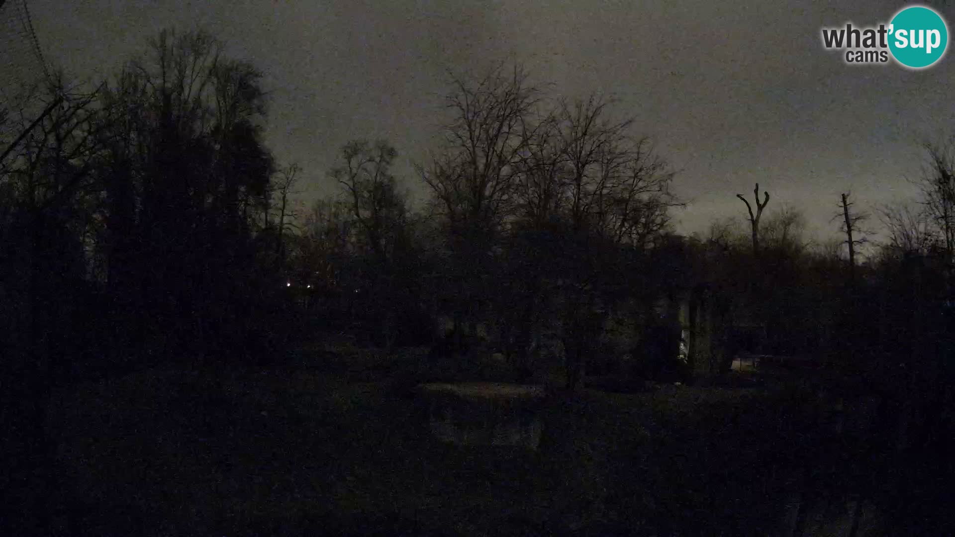 Zoo Zagreb – Leones