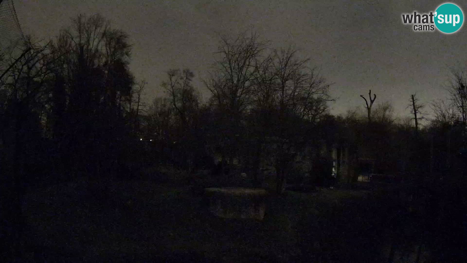 Zoo Zagreb – Leoni