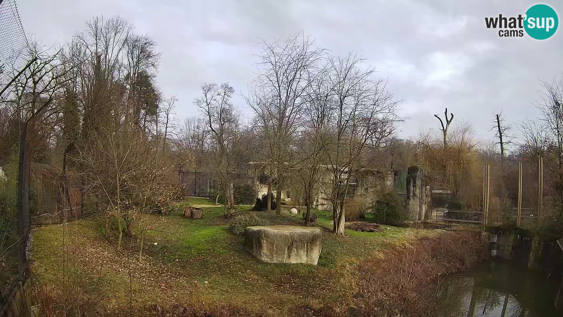 Zoo Zagreb – Leones