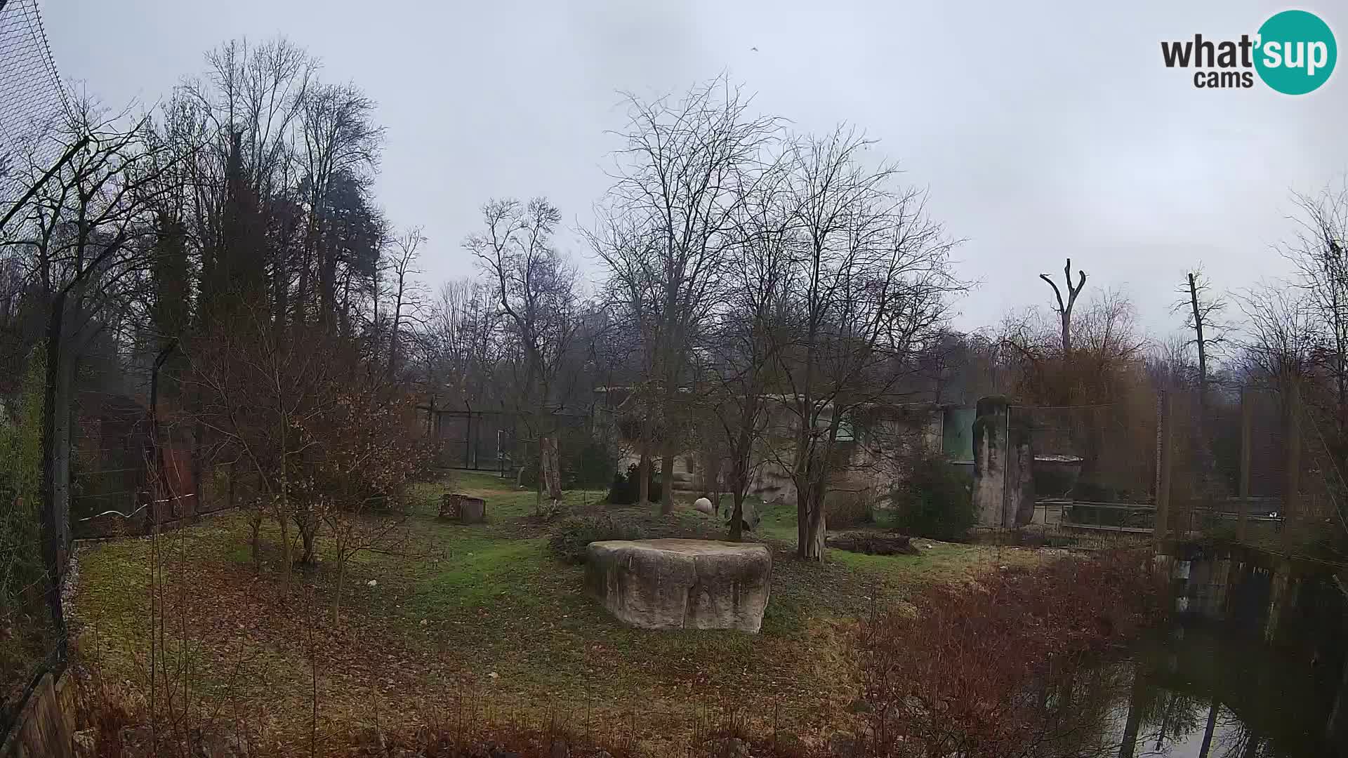 Zoo Zagreb – Leoni