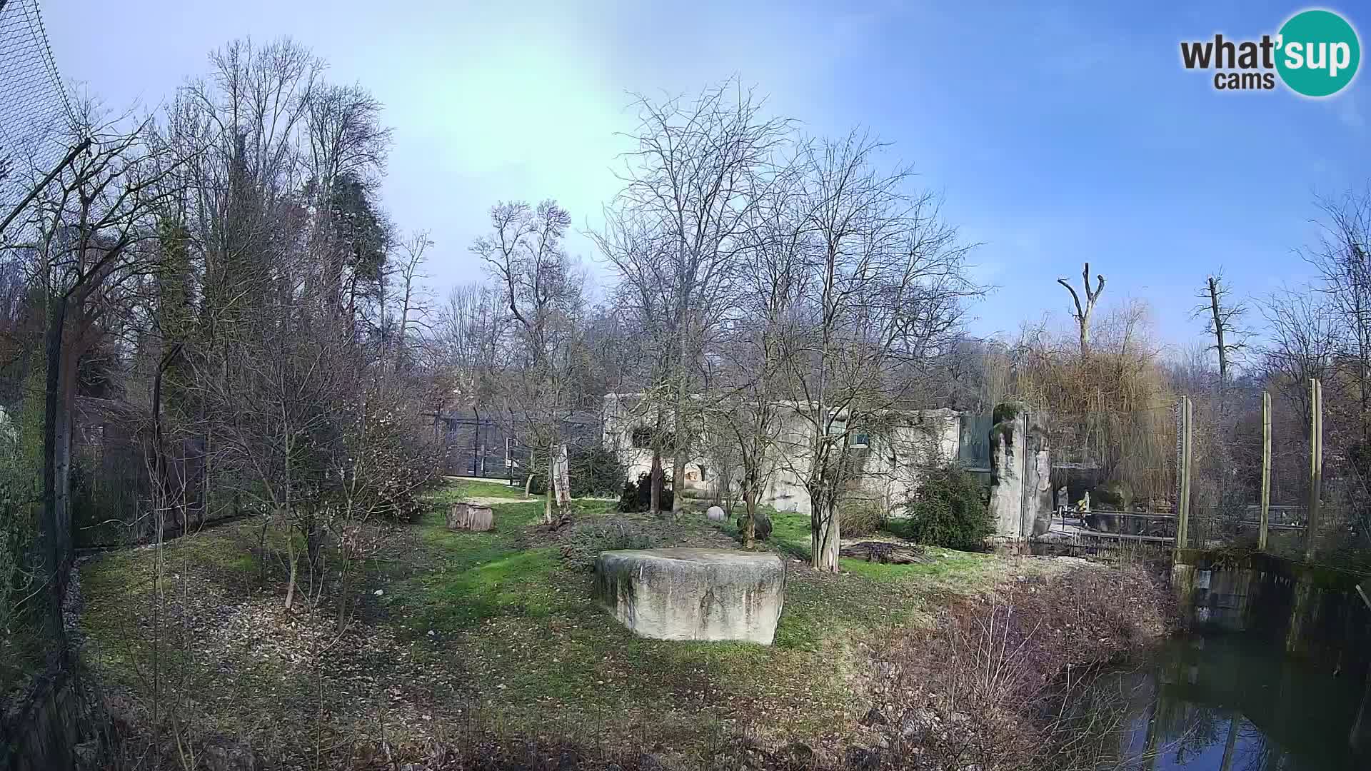 Zoo Zagreb – Leoni