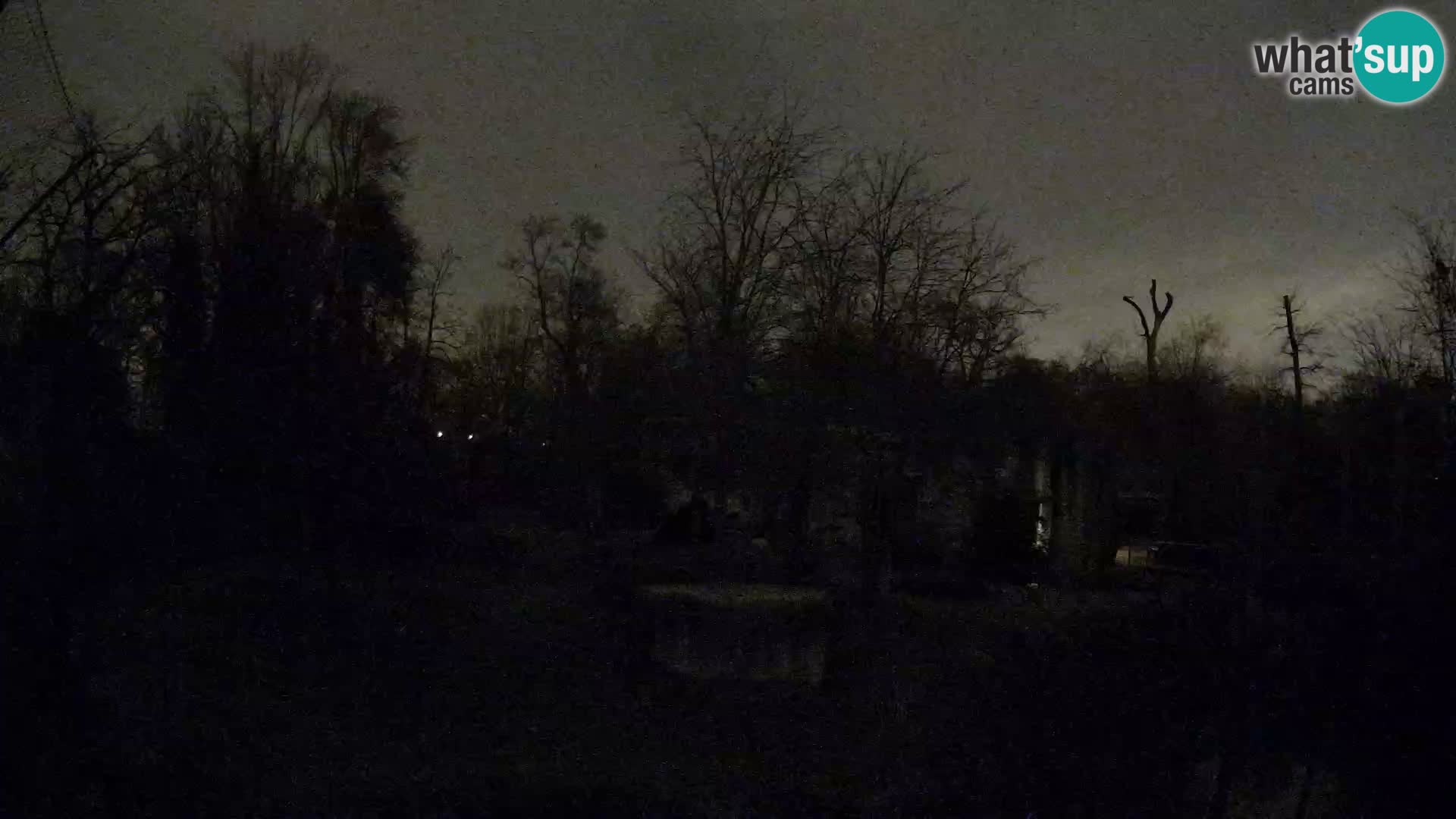 Zoo Zagreb – Löwen