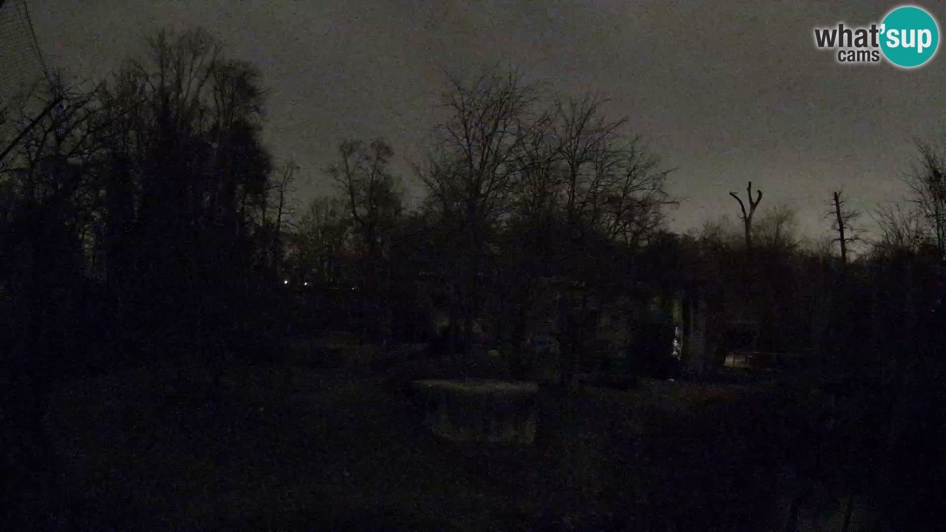 Spletna kamera Zoo Zagreb – Levi