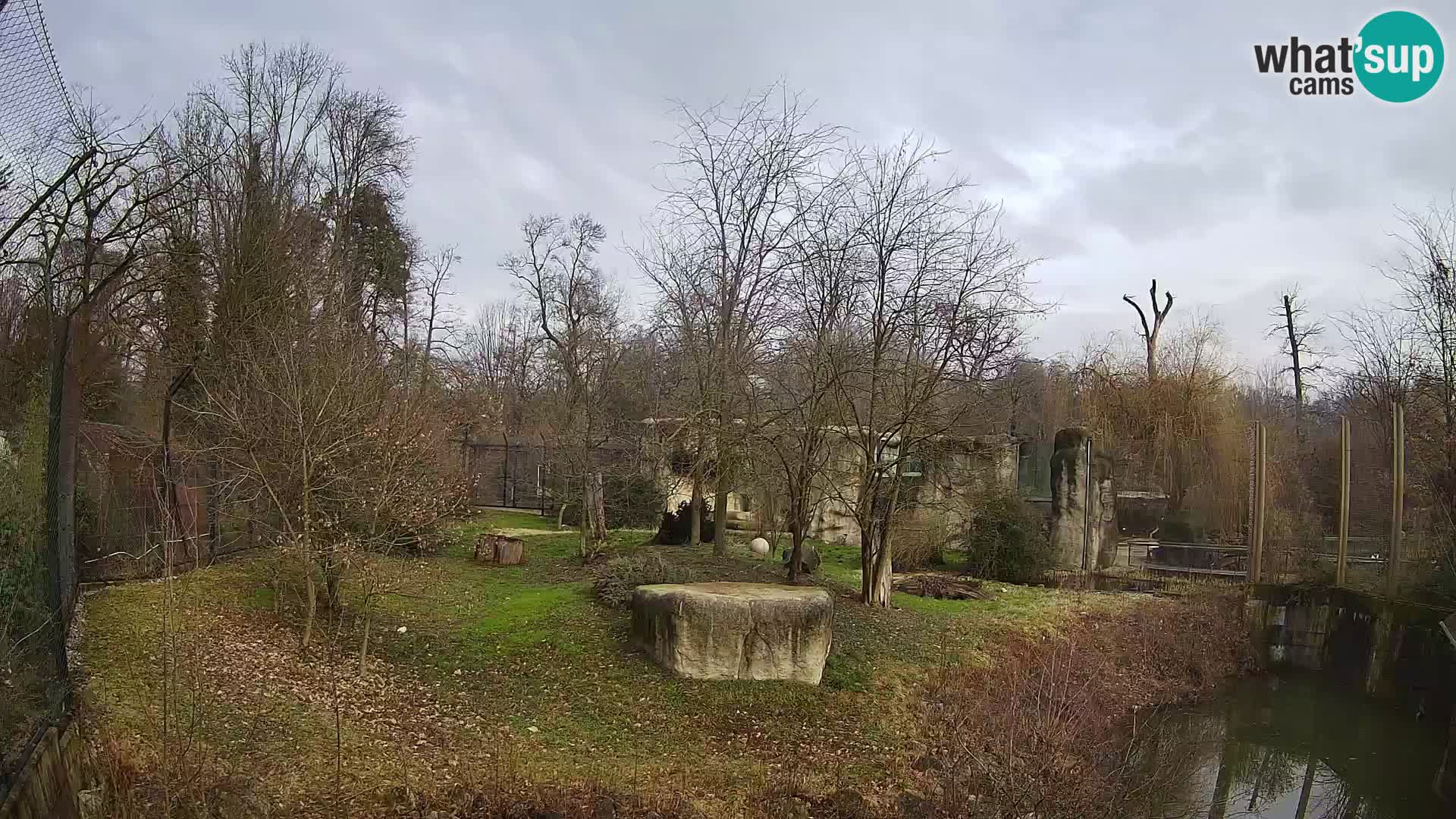 Spletna kamera Zoo Zagreb – Levi