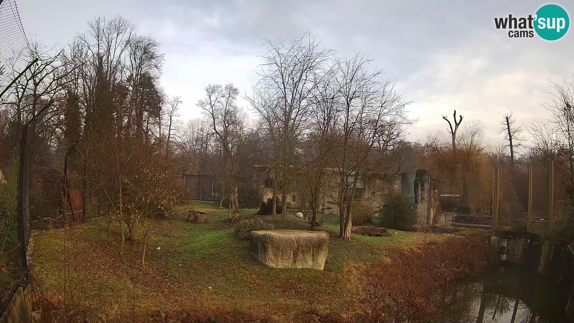 Spletna kamera Zoo Zagreb – Levi