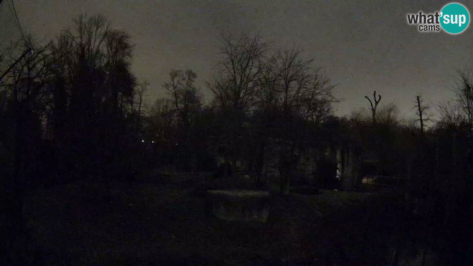 Zoo Zagreb – Löwen