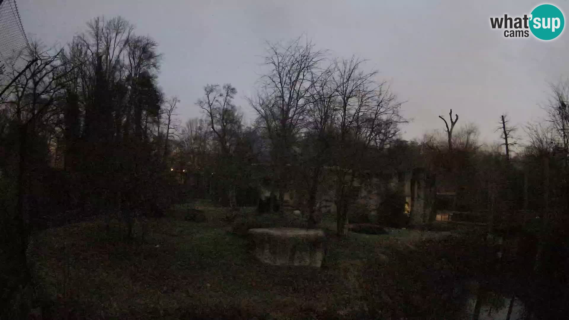 Zoo Zagreb – Leoni