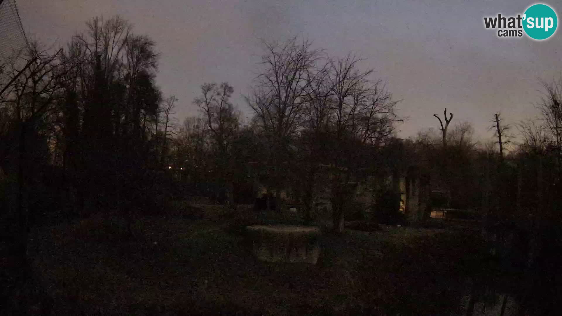 Spletna kamera Zoo Zagreb – Levi