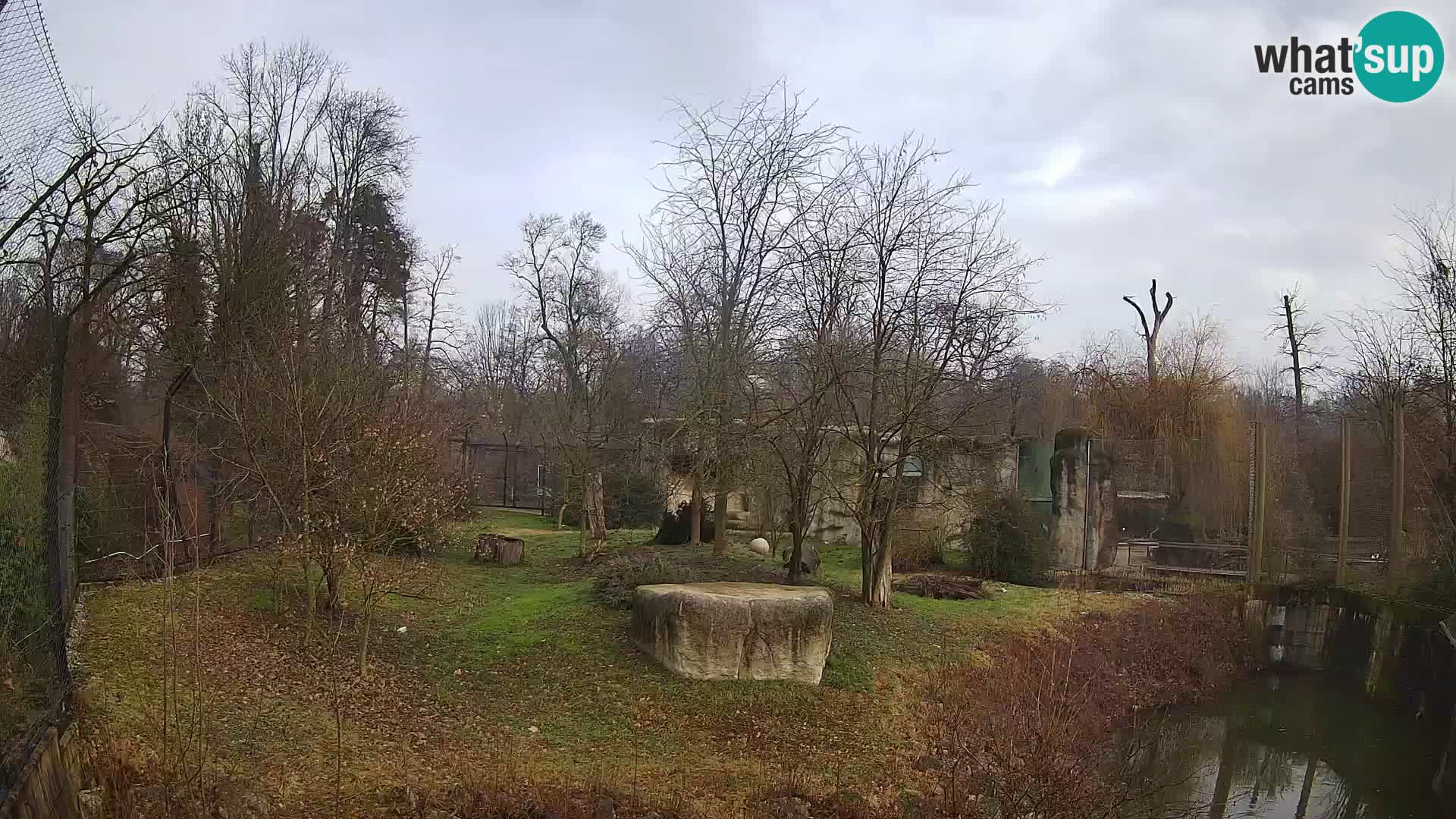 Spletna kamera Zoo Zagreb – Levi