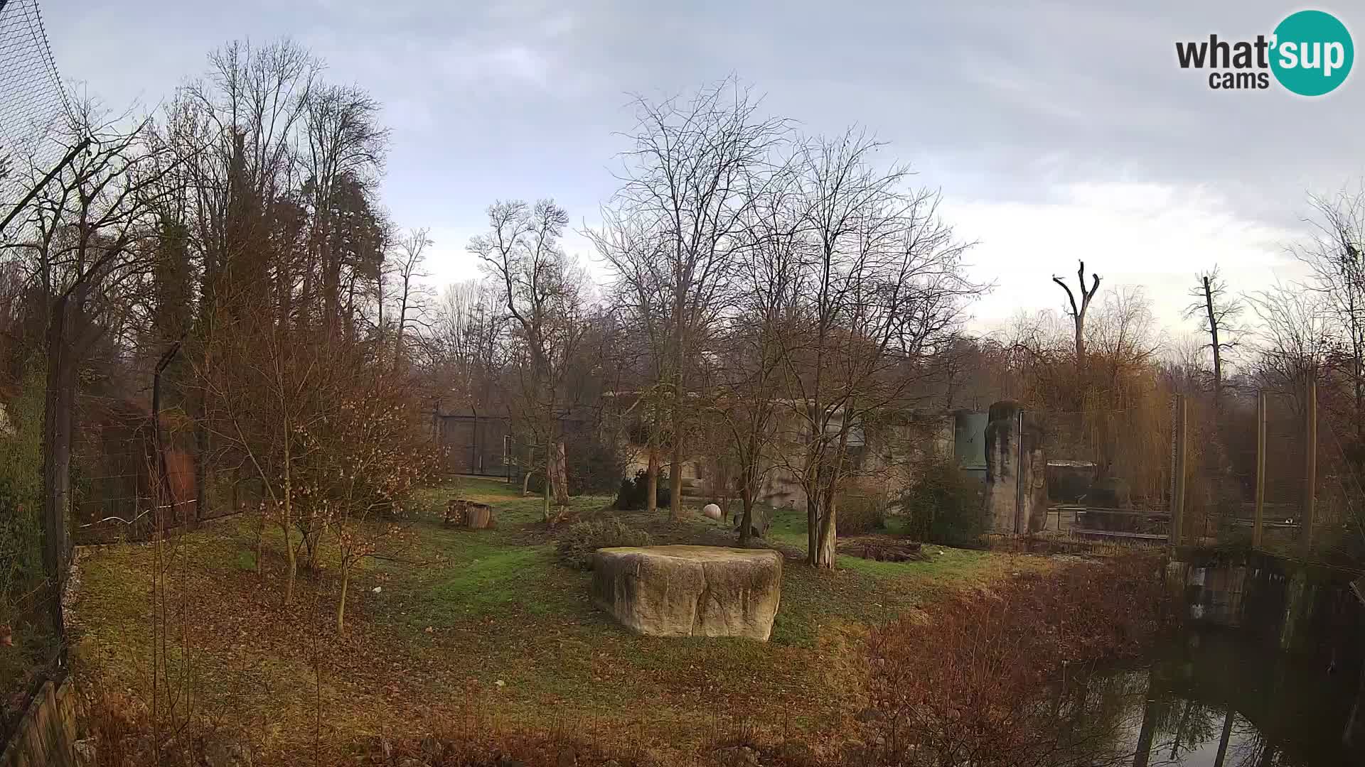 Zoo Zagreb – Löwen