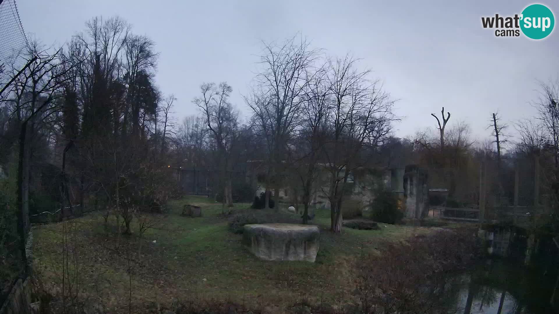 Zoo Zagreb – Leoni