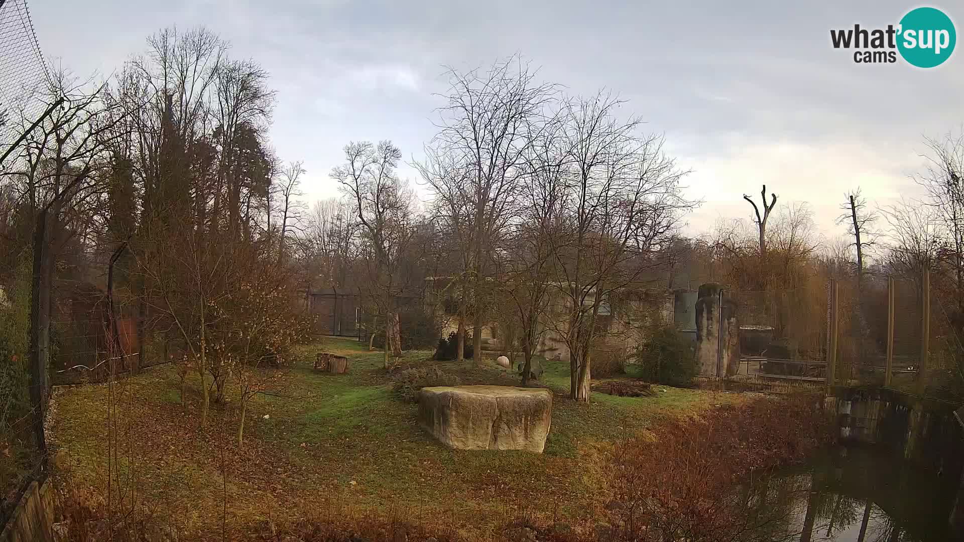 Zoo Zagreb – Leoni