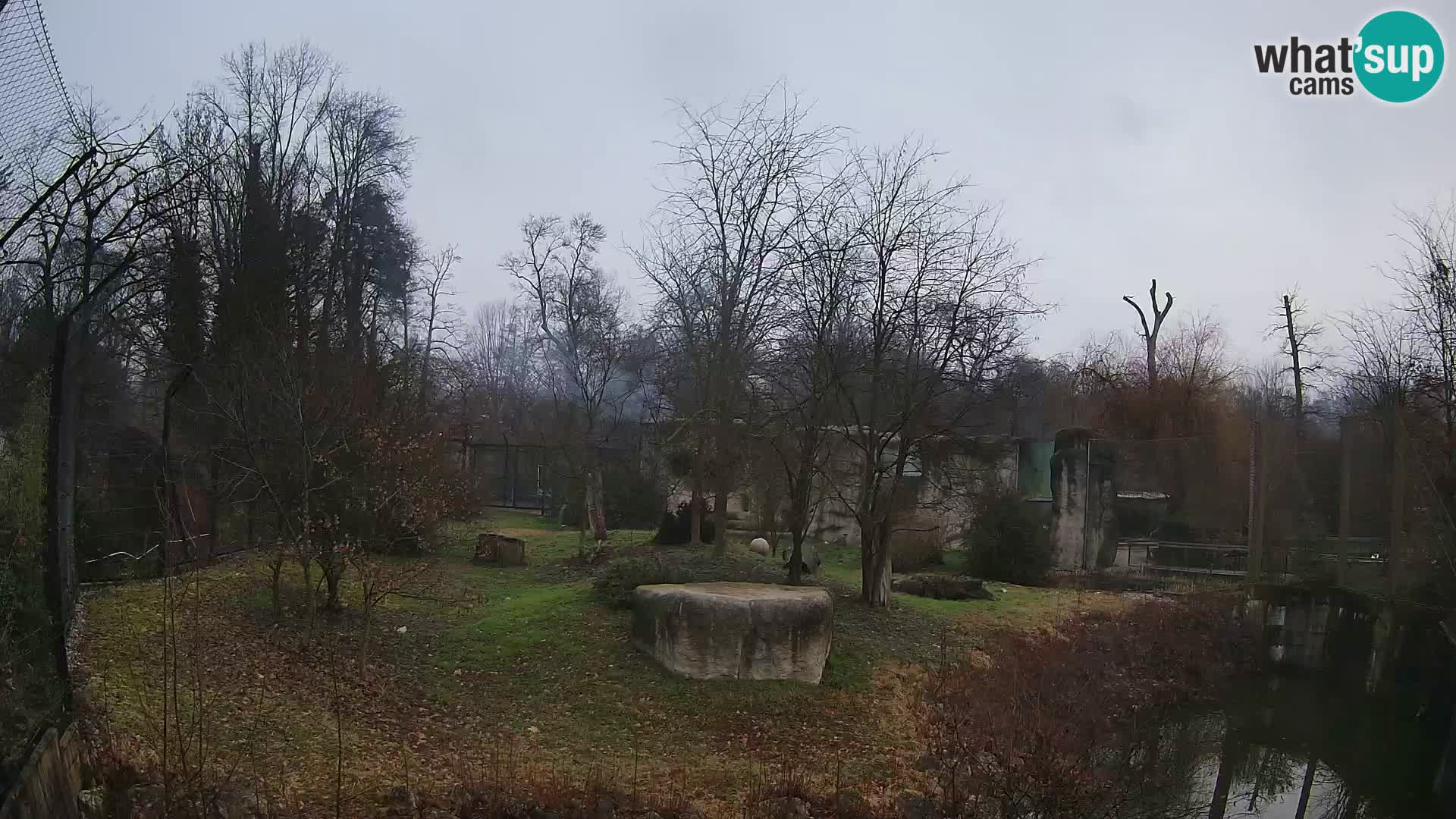 Zoo Zagreb – Leones