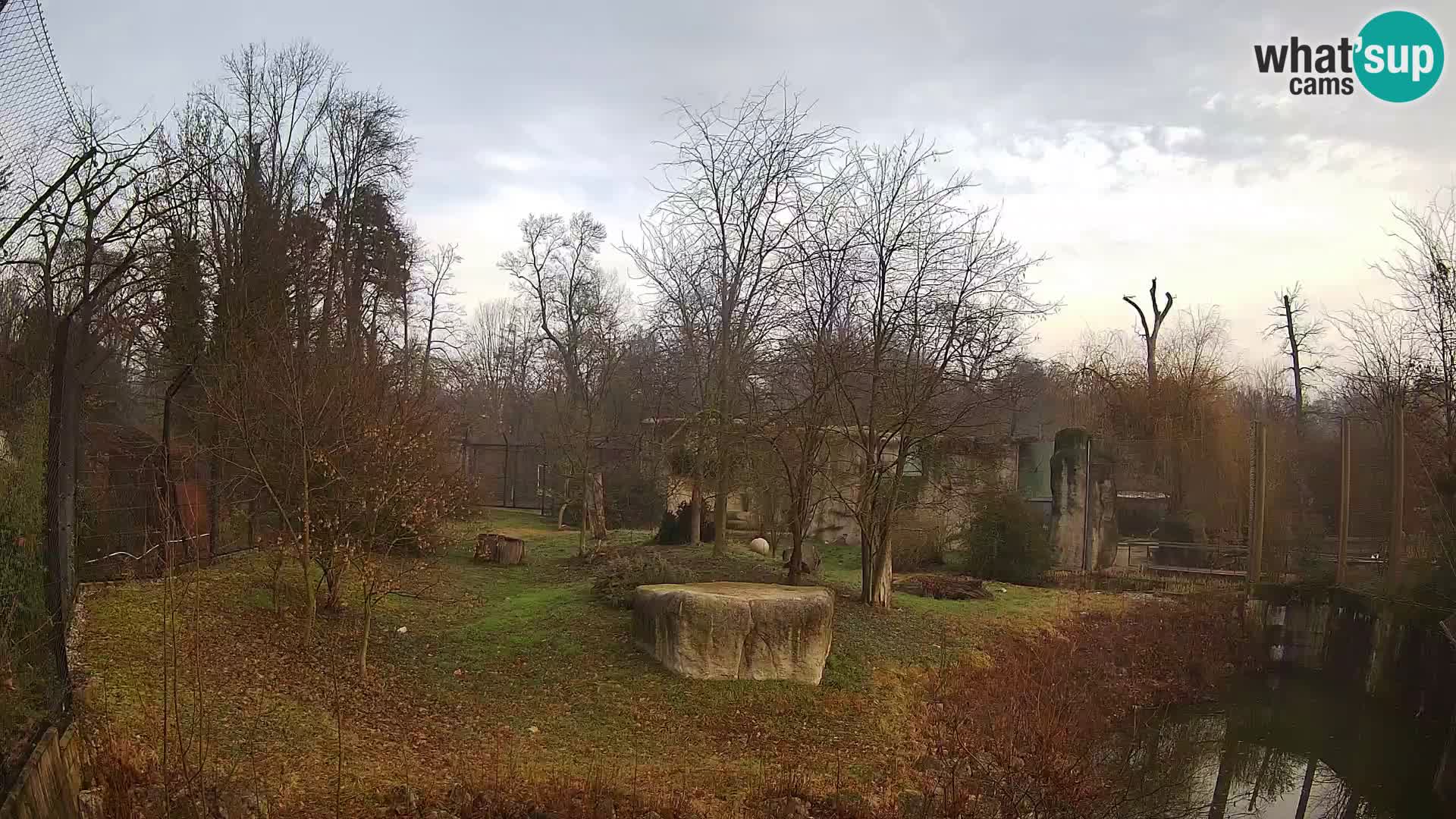 Zoo Zagreb – Leoni