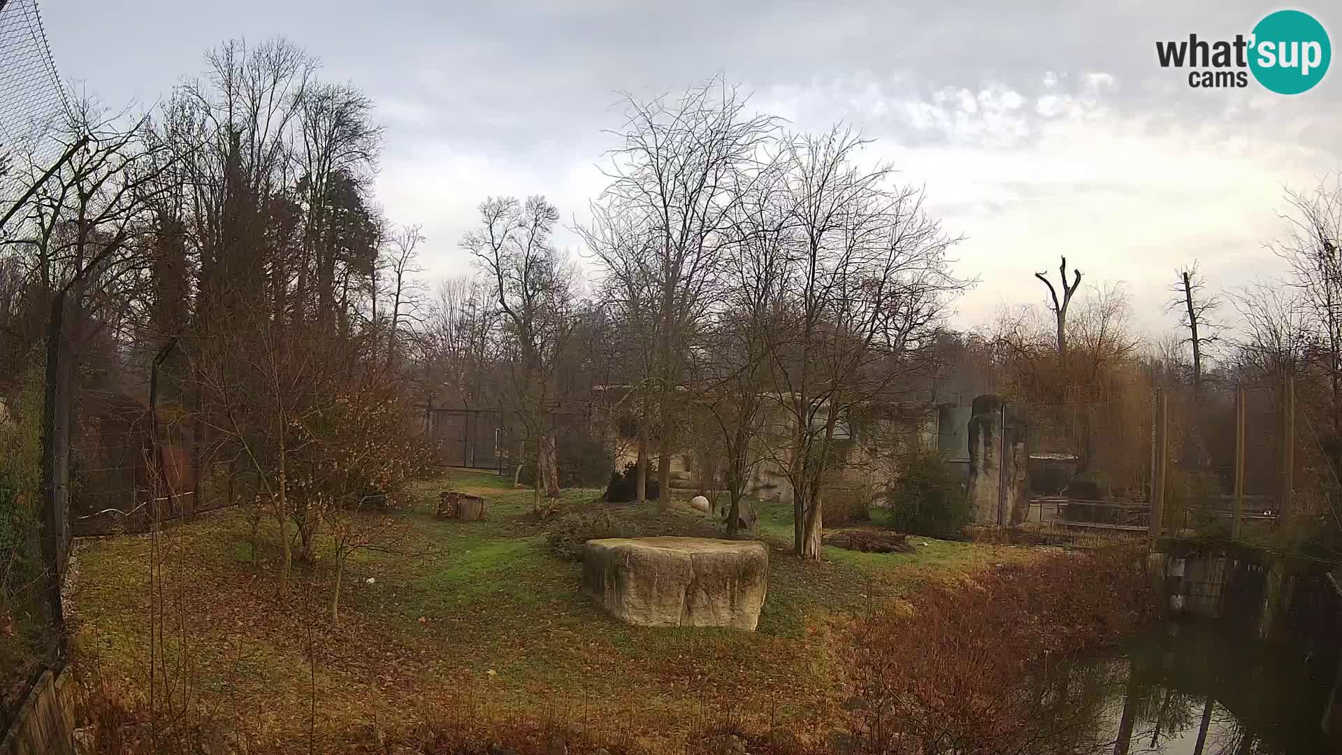 Zoo Zagreb – Lavovi