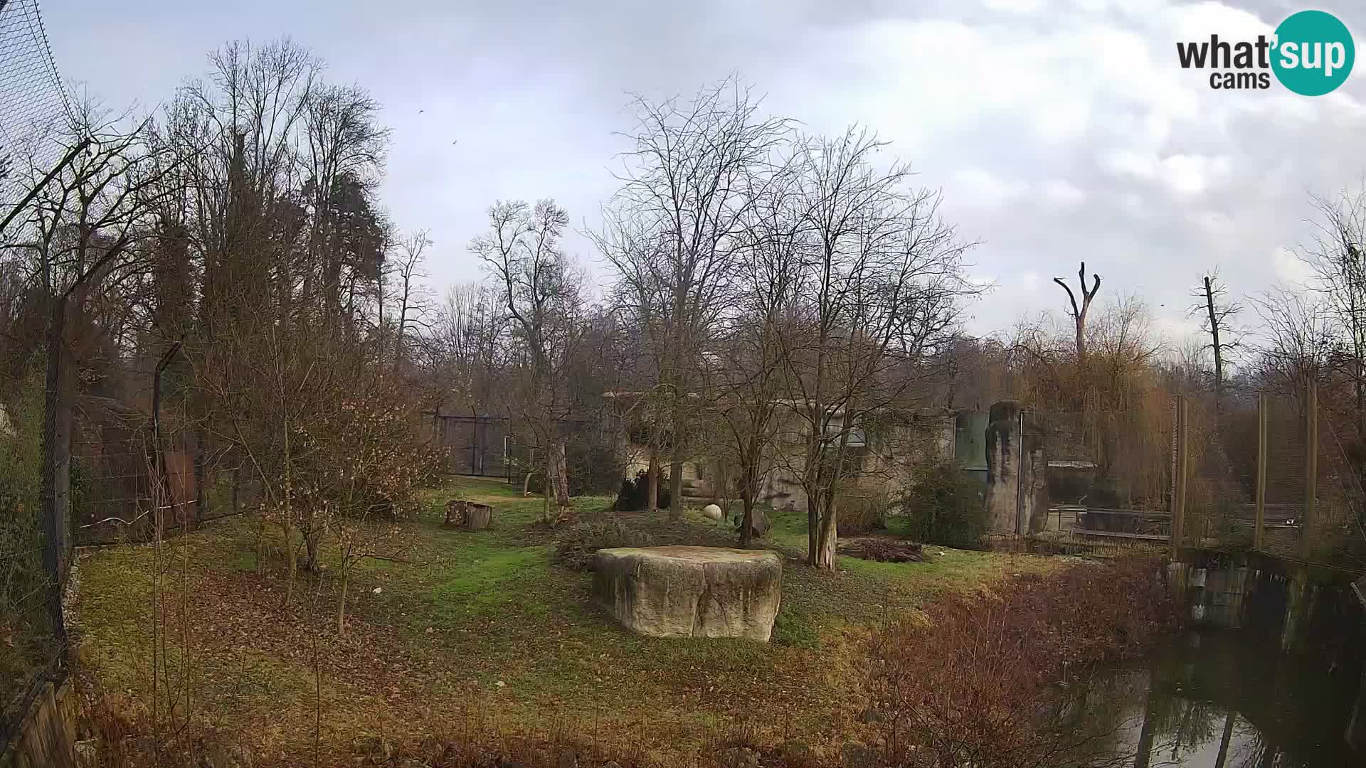 Zoo Zagreb – Löwen