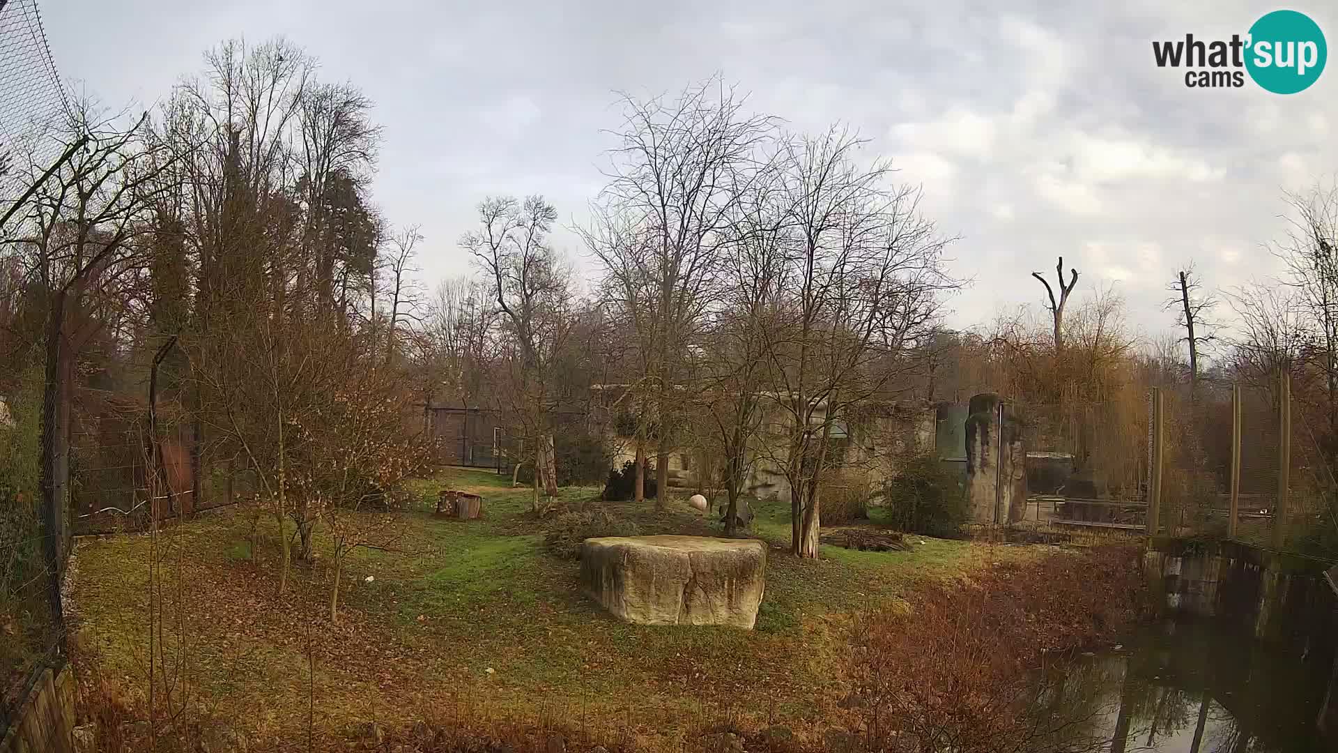 Zoo Zagreb – Lavovi