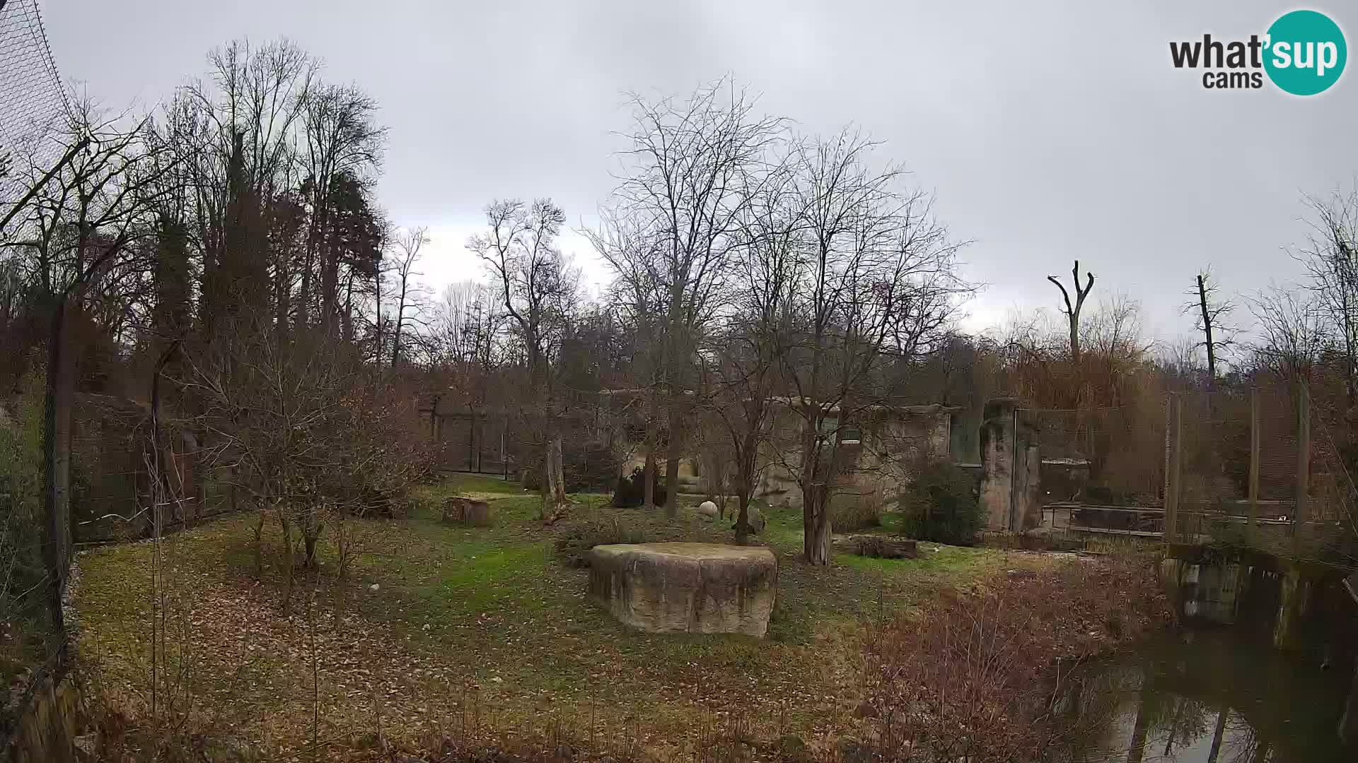 Zoo Zagreb – Leones