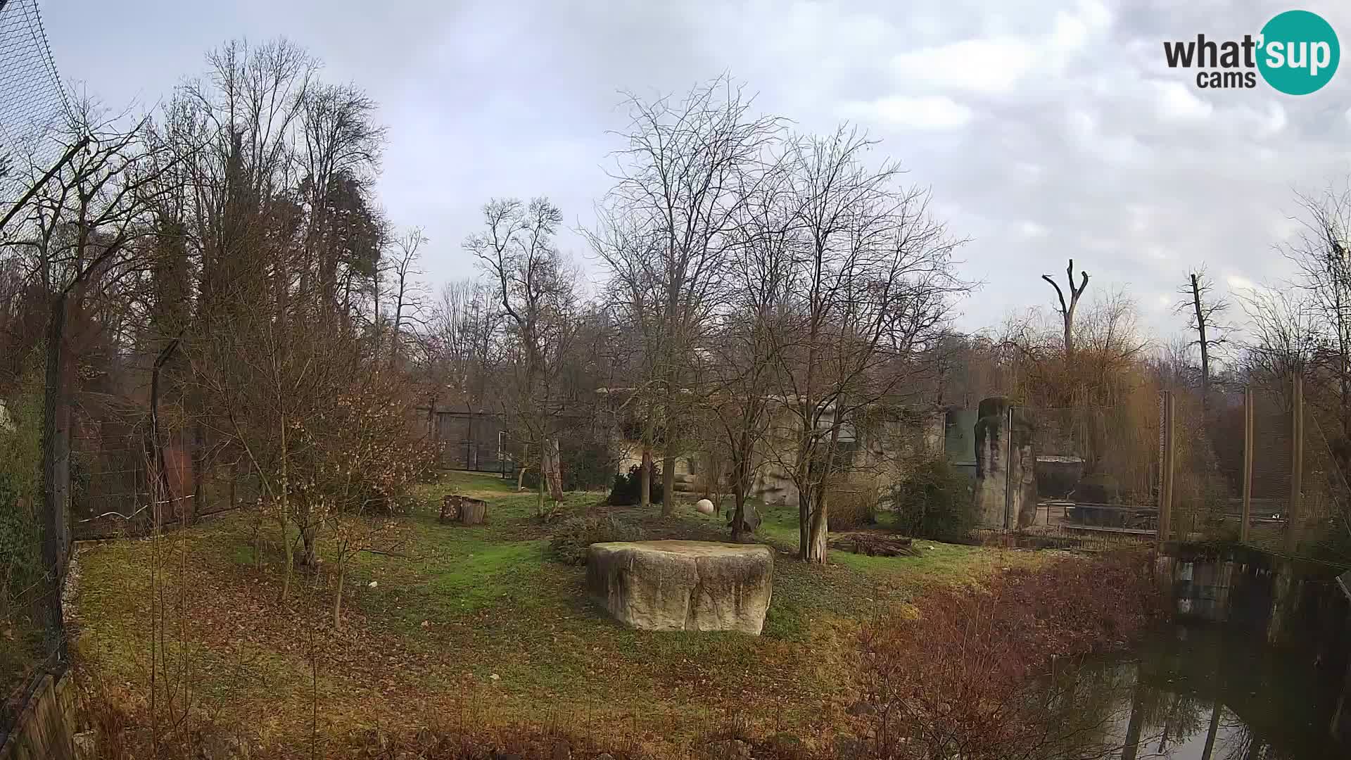 Zoo Zagreb – Lavovi