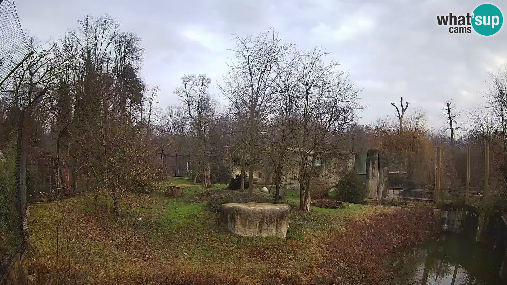 Zoo Zagreb – Leoni