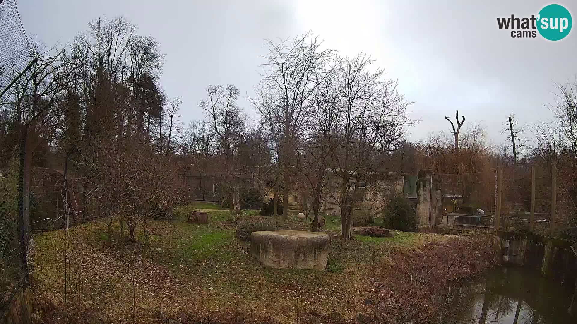 Zoo Zagreb – Leones