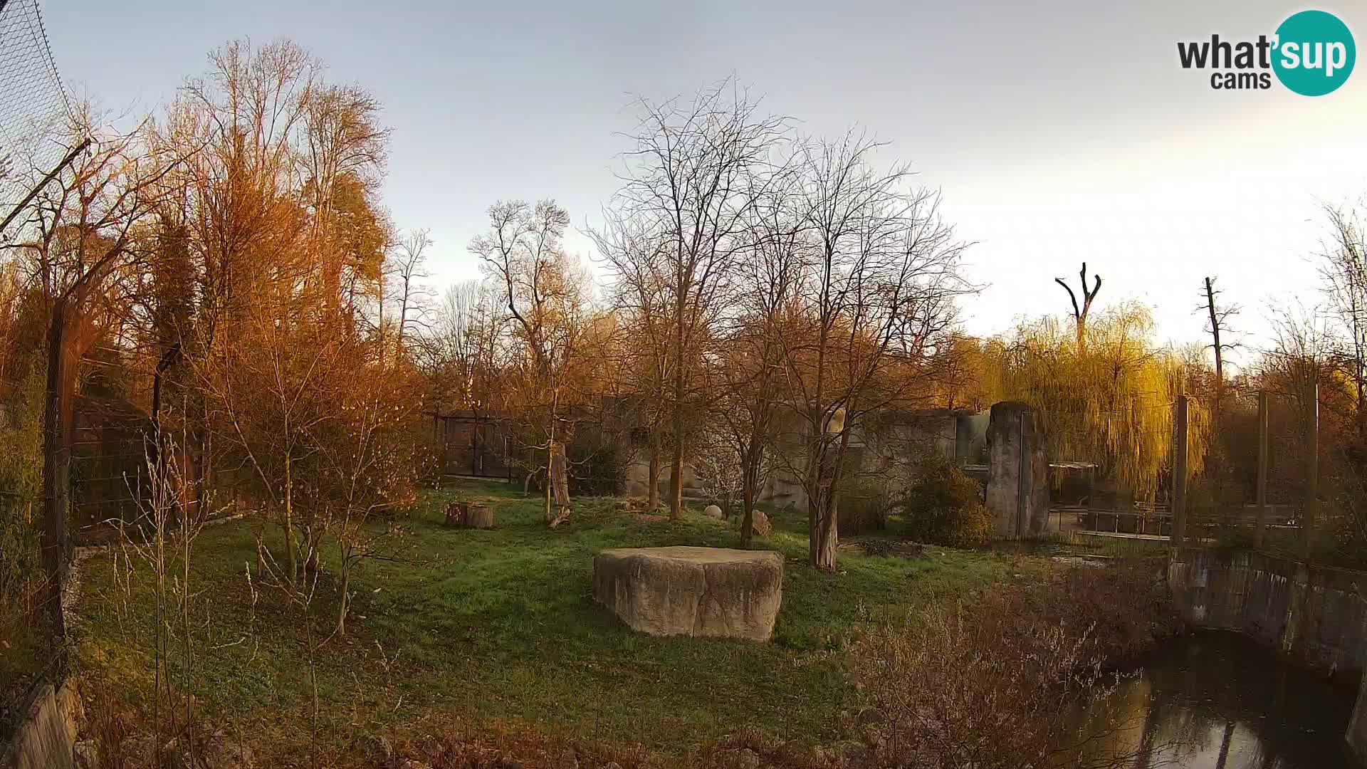 Zoo Zagreb – Lavovi