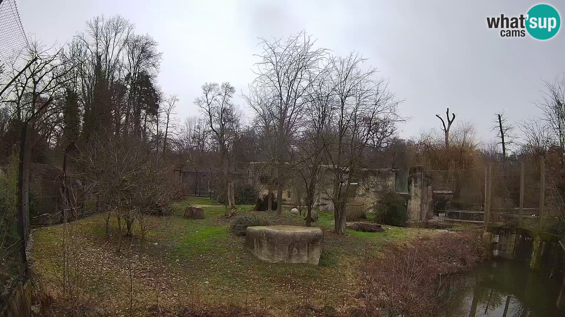 Zoo Zagreb – Löwen