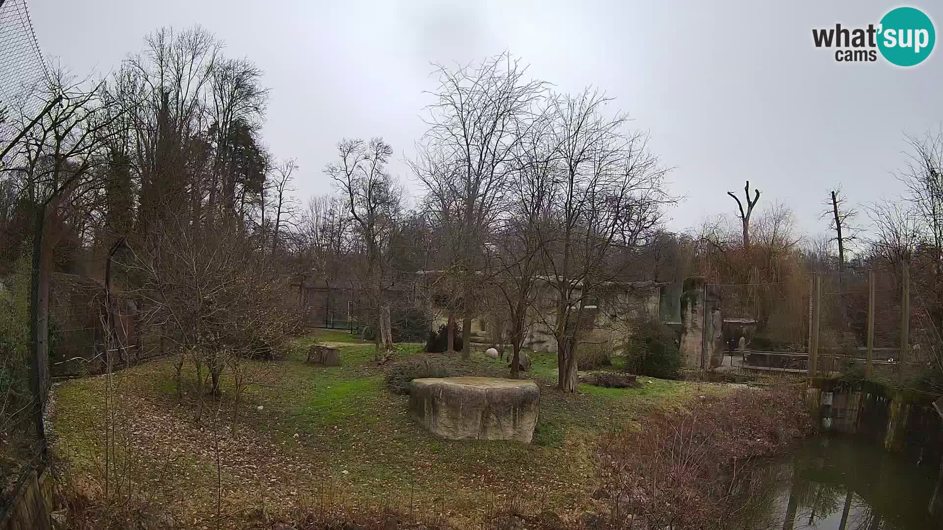 Zoo Zagreb – Löwen