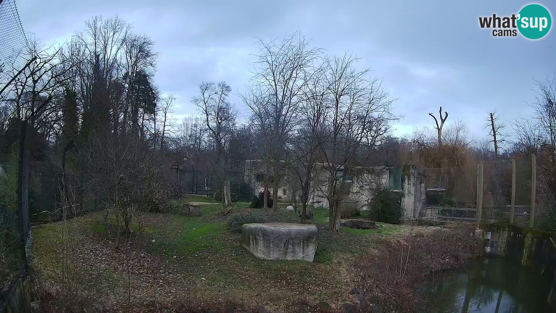 Spletna kamera Zoo Zagreb – Levi