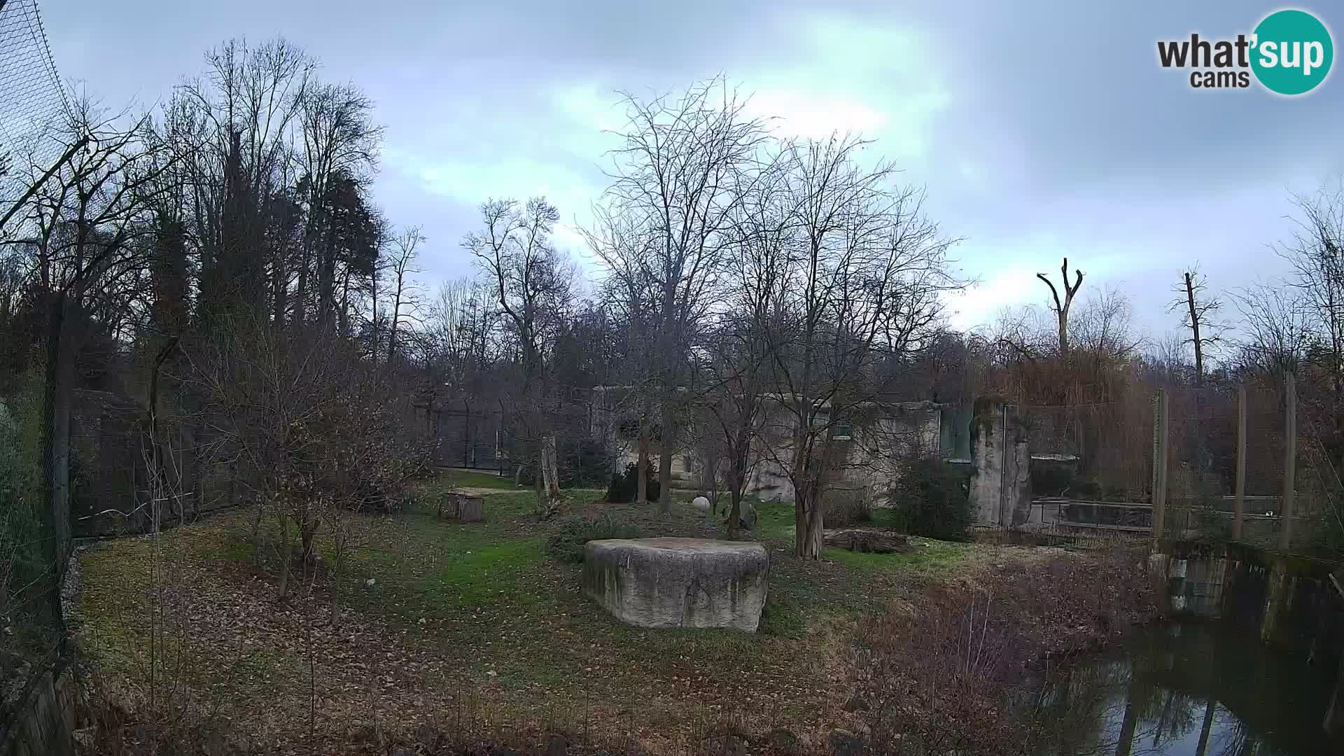 Zoo Zagreb – Leones