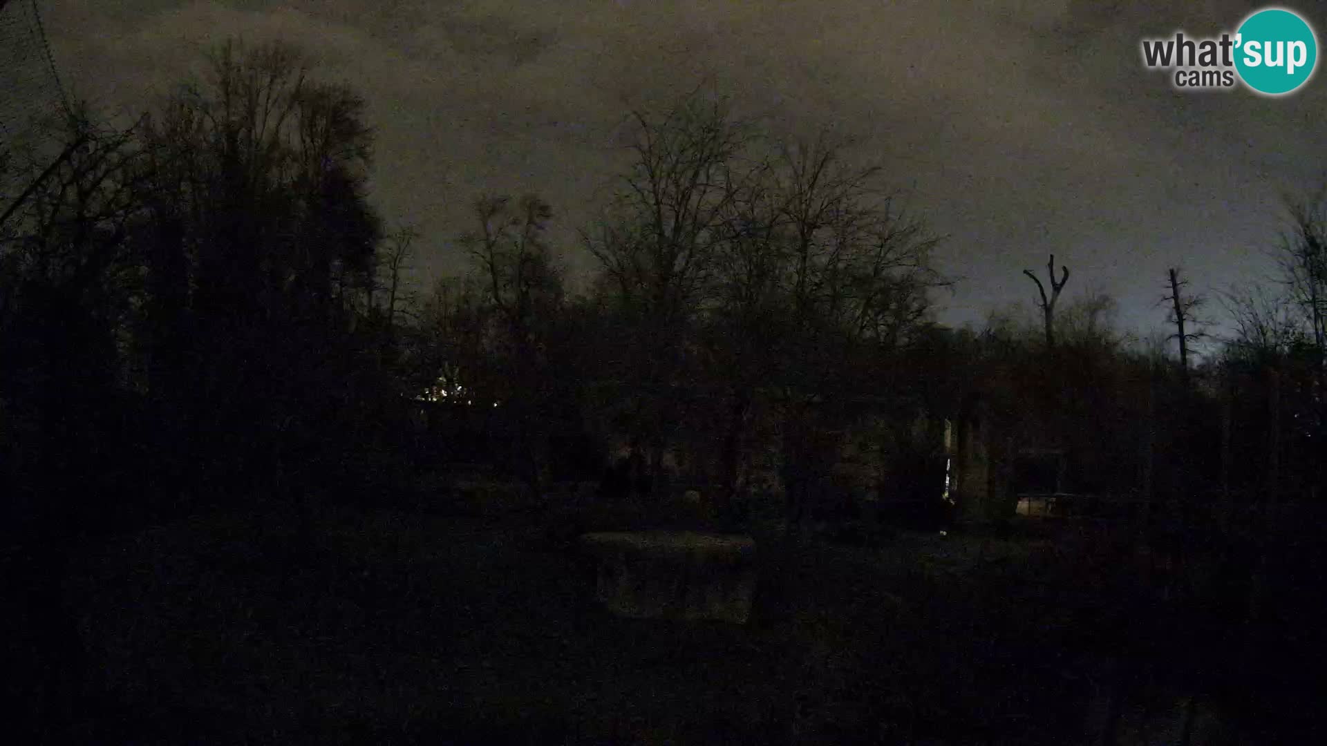 Zoo Zagreb – Leones