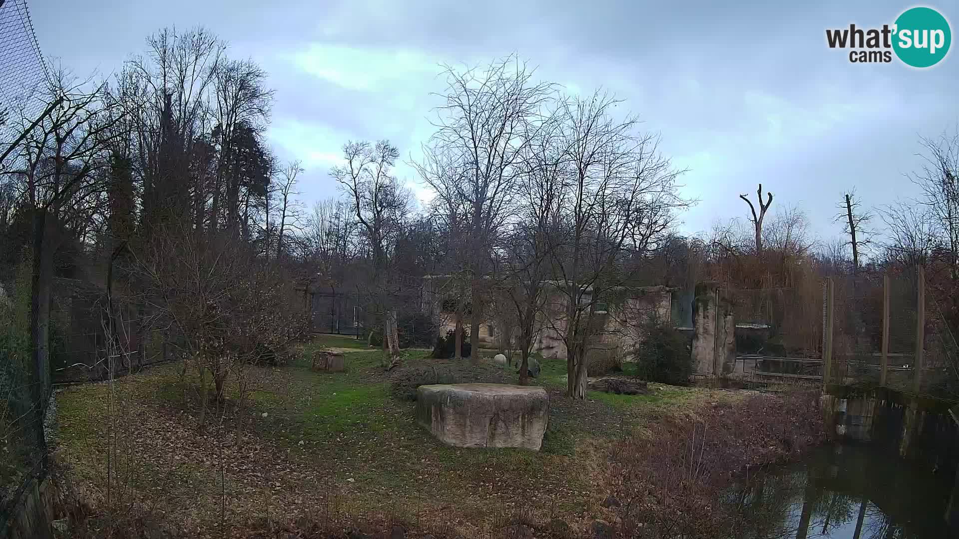 Zoo Zagreb – Leoni