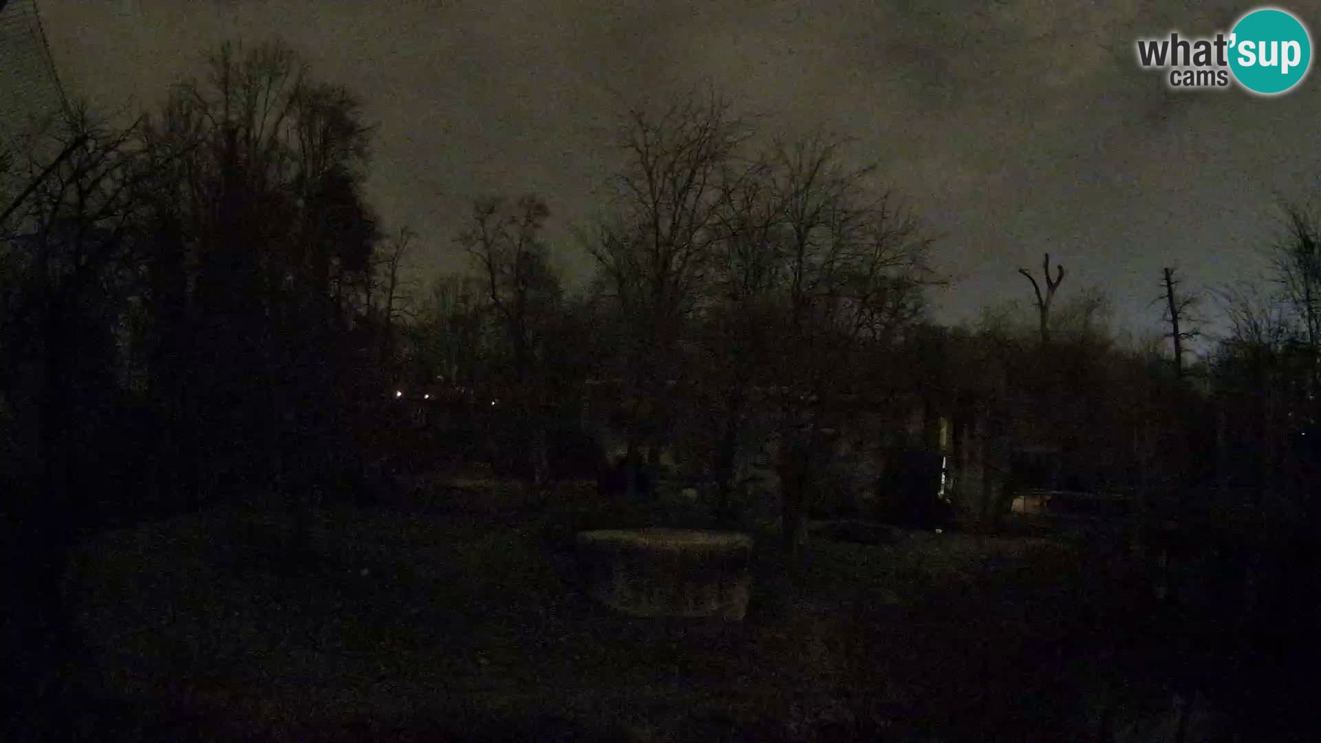 Zoo Zagreb – Lavovi