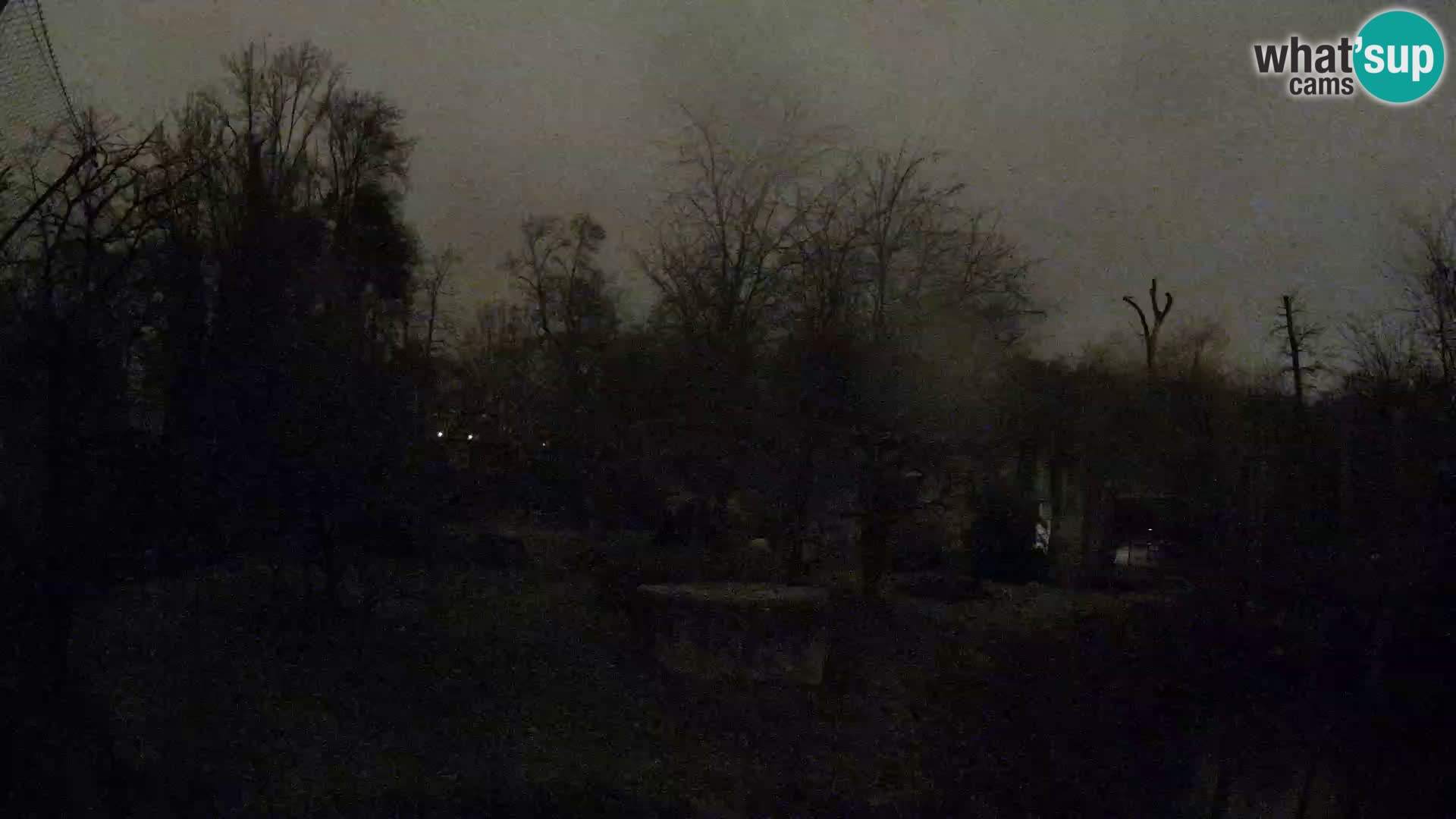 Zoo Zagreb – Leoni