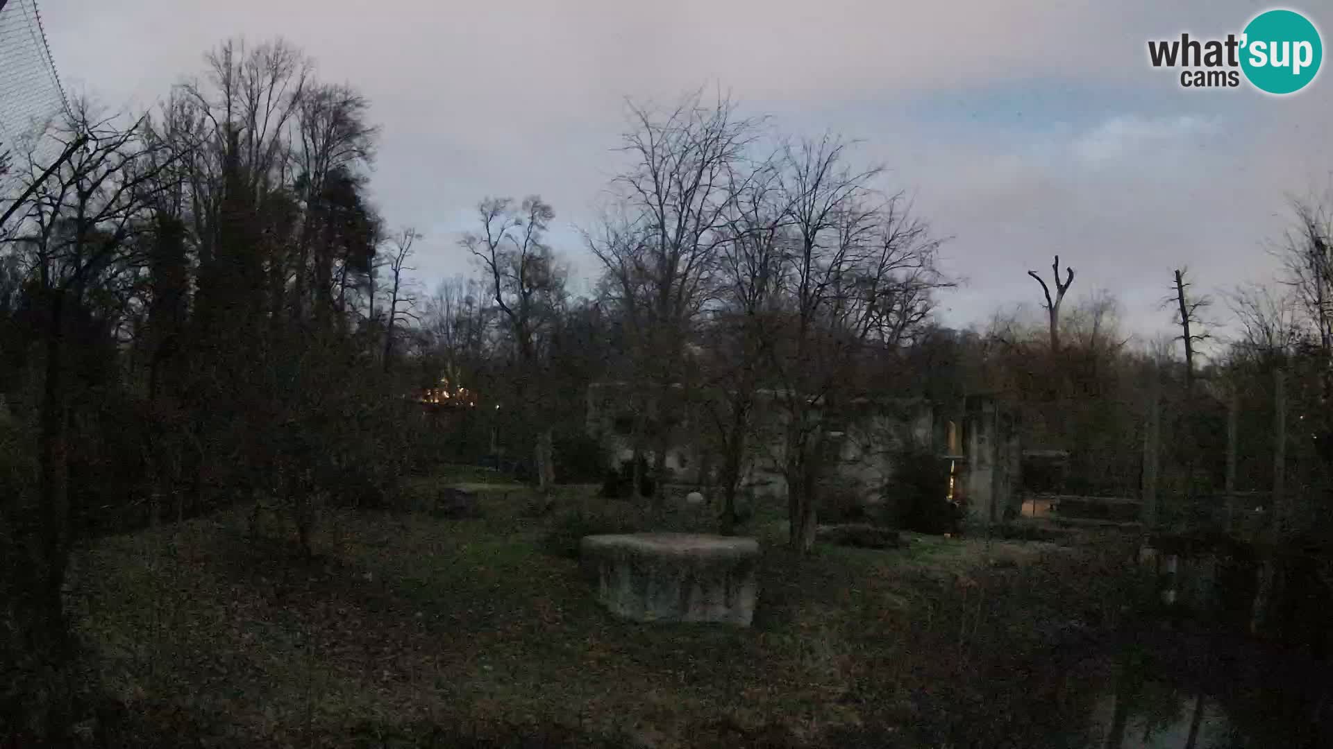 Spletna kamera Zoo Zagreb – Levi