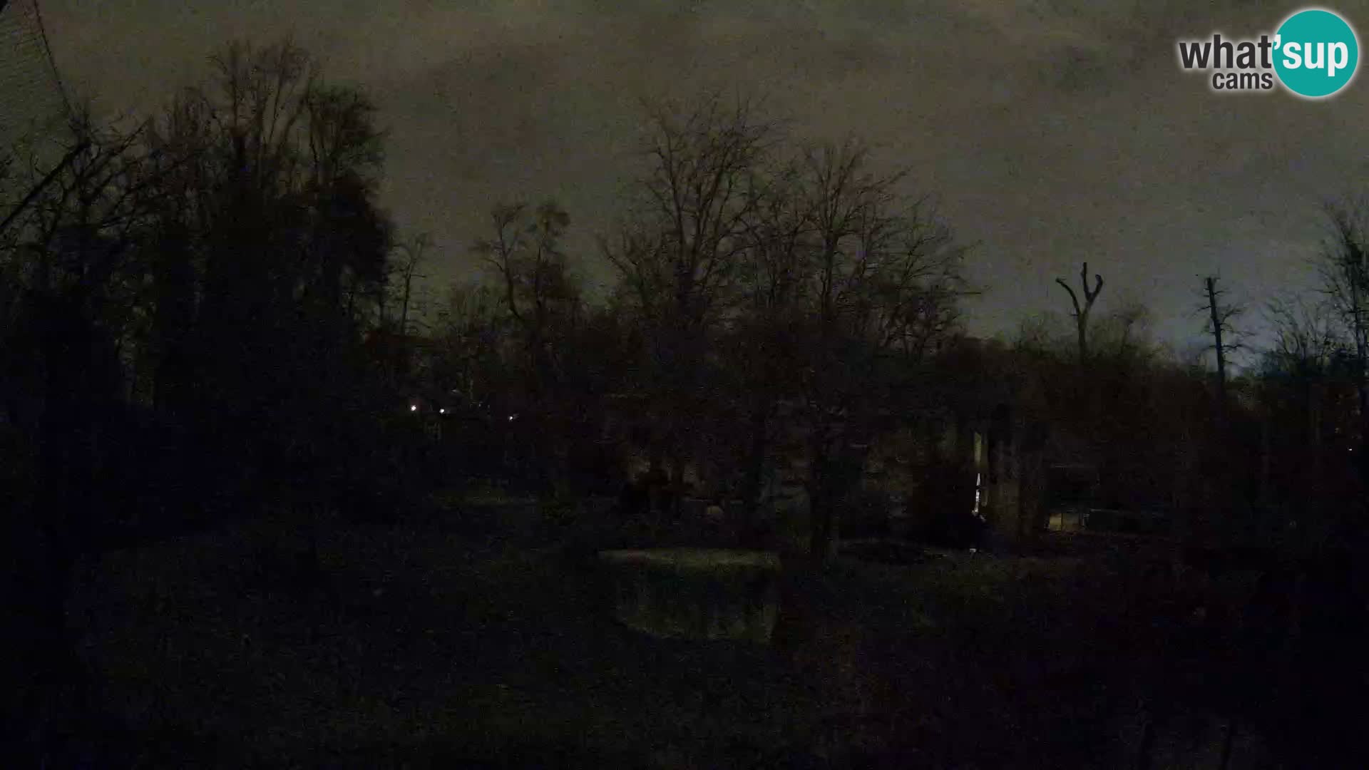 Zoo Zagreb – Leoni