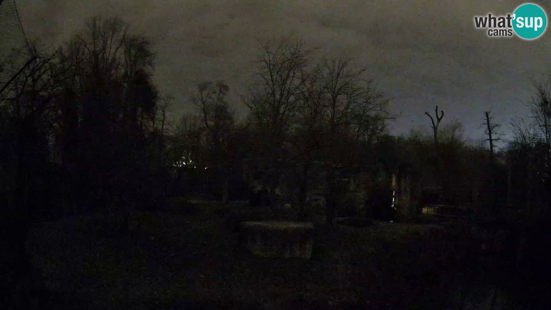 Zoo Zagreb – Leoni