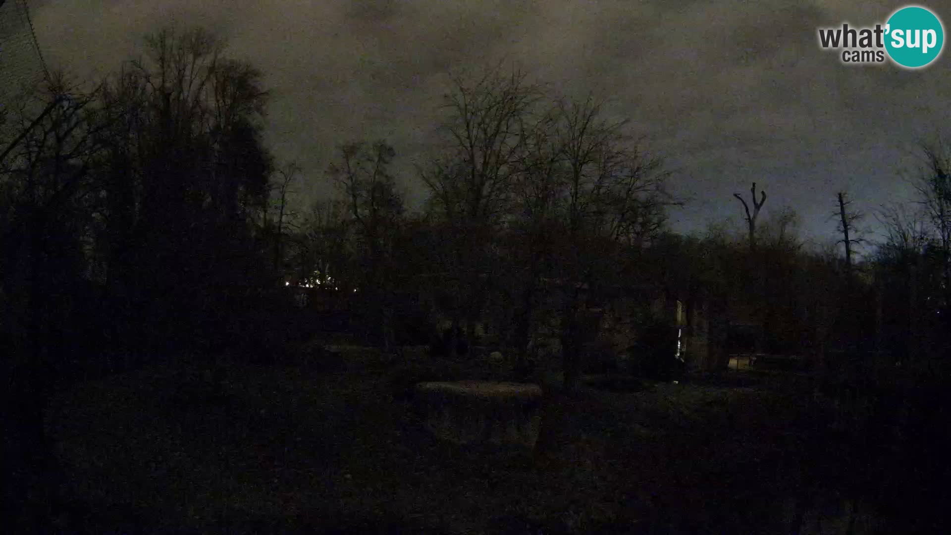 Zoo Zagreb – Löwen