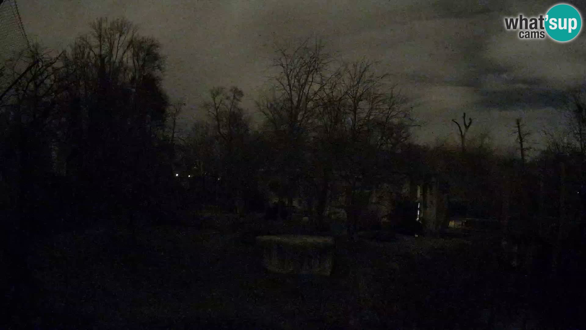 Zoo Zagreb – Leoni