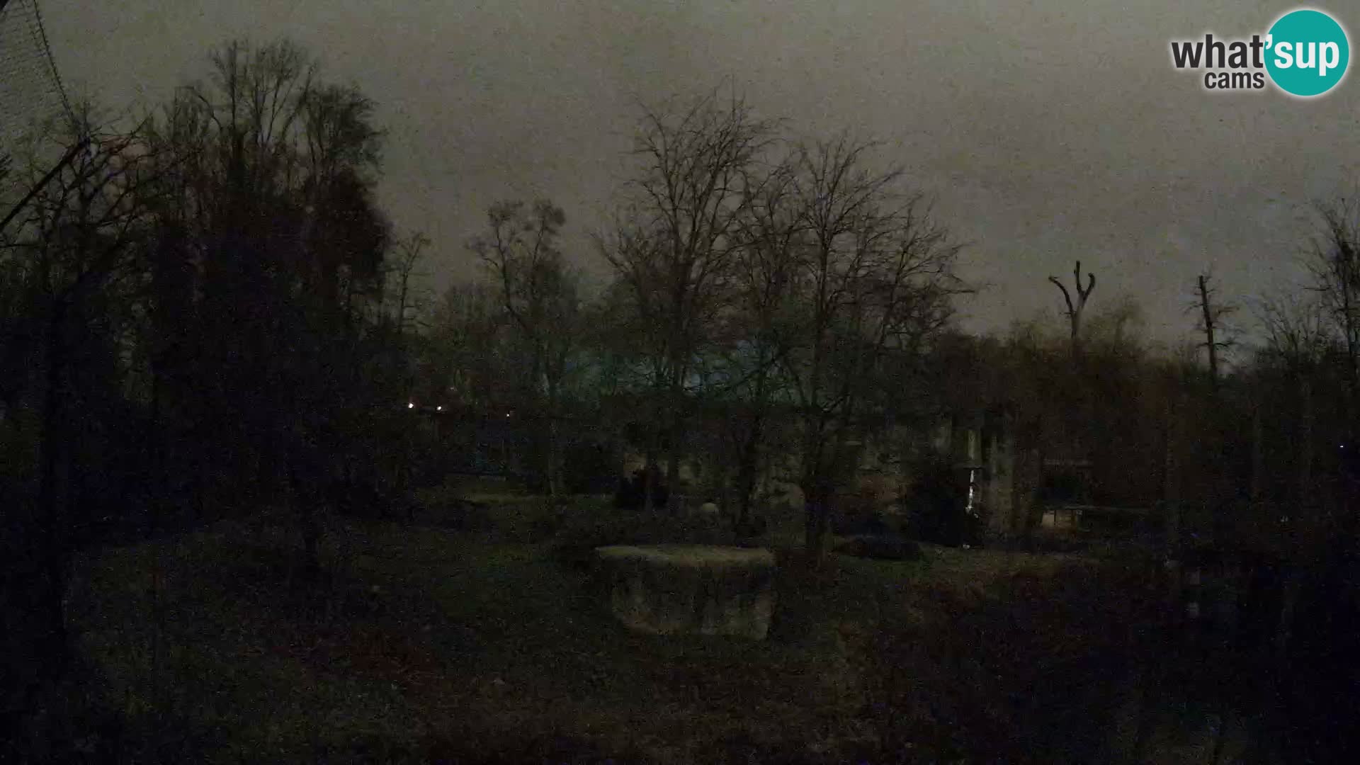 Zoo Zagreb – Leoni