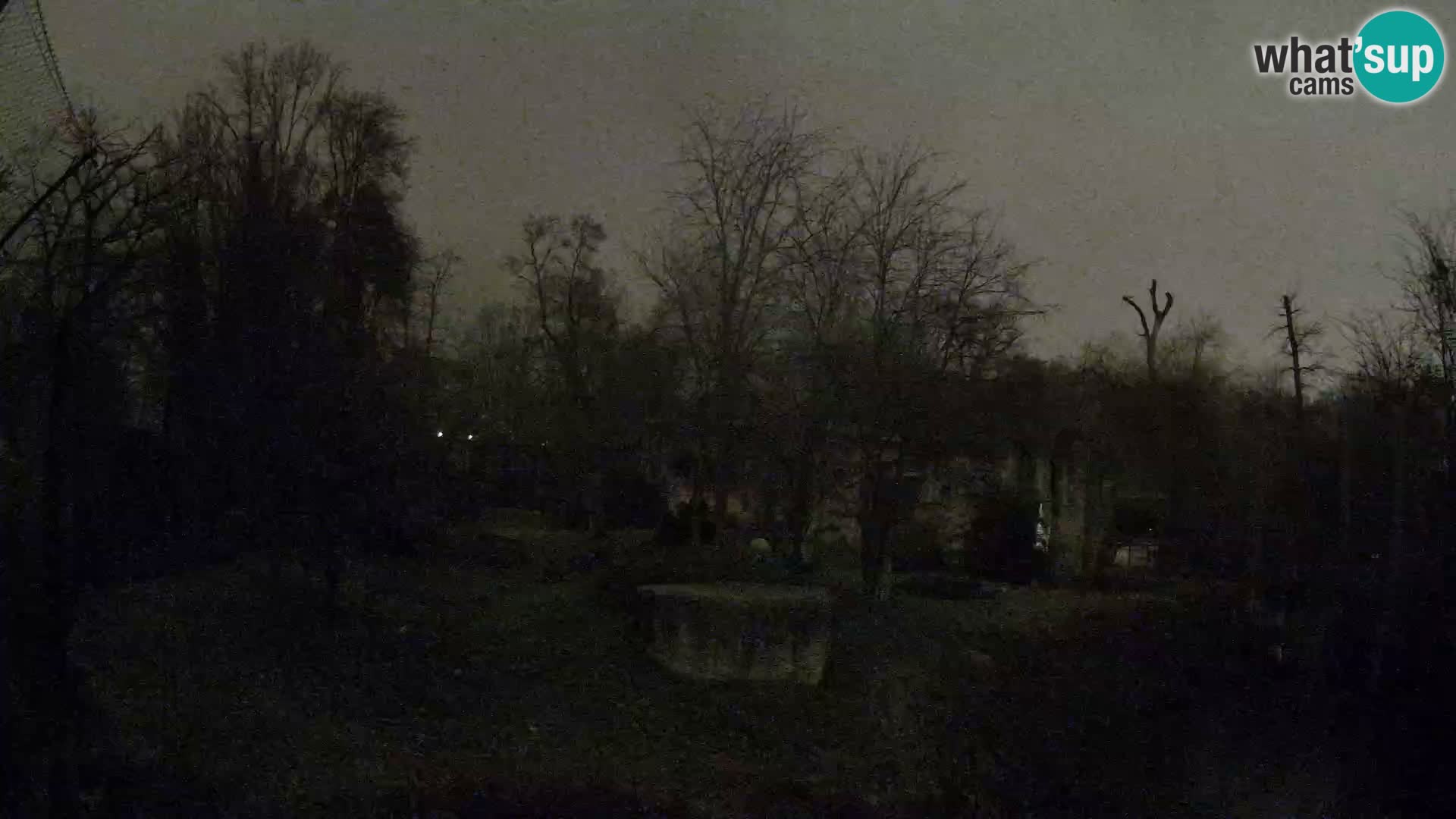 Spletna kamera Zoo Zagreb – Levi