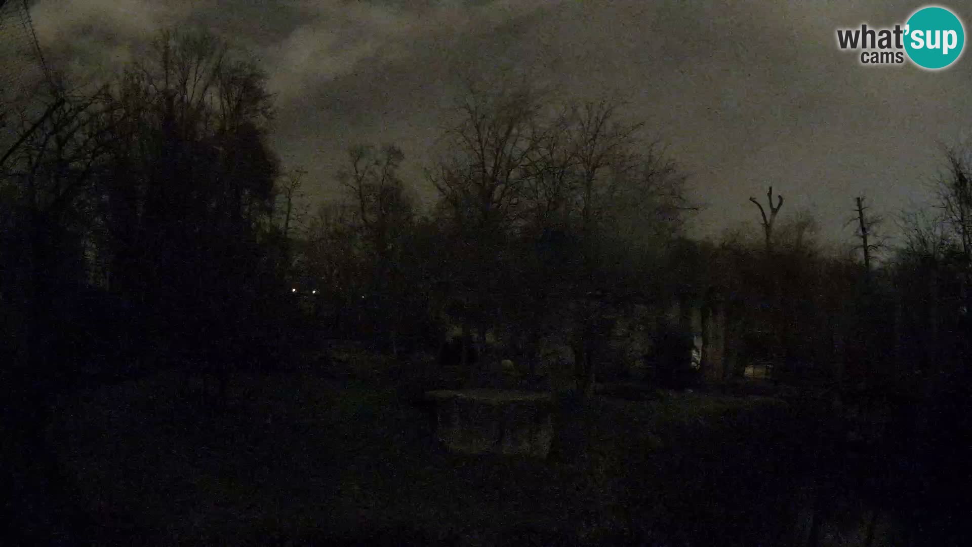 Zoo Zagreb – Lavovi