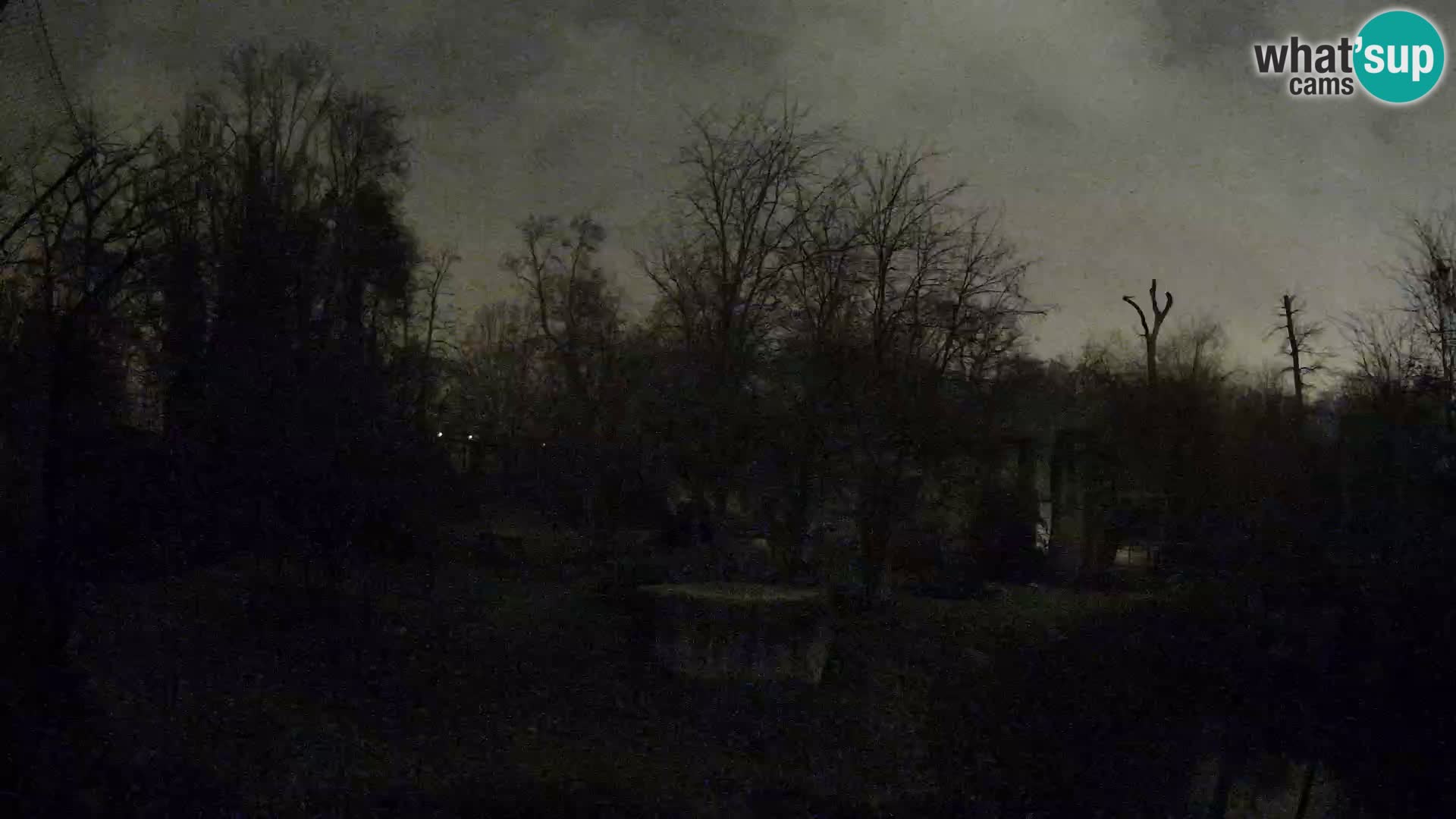 Zoo Zagreb – Leones