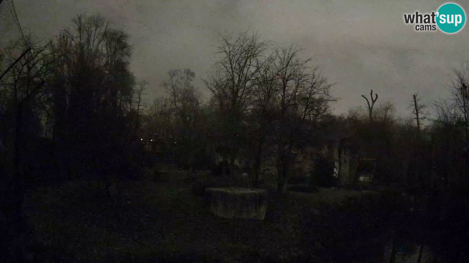 Spletna kamera Zoo Zagreb – Levi